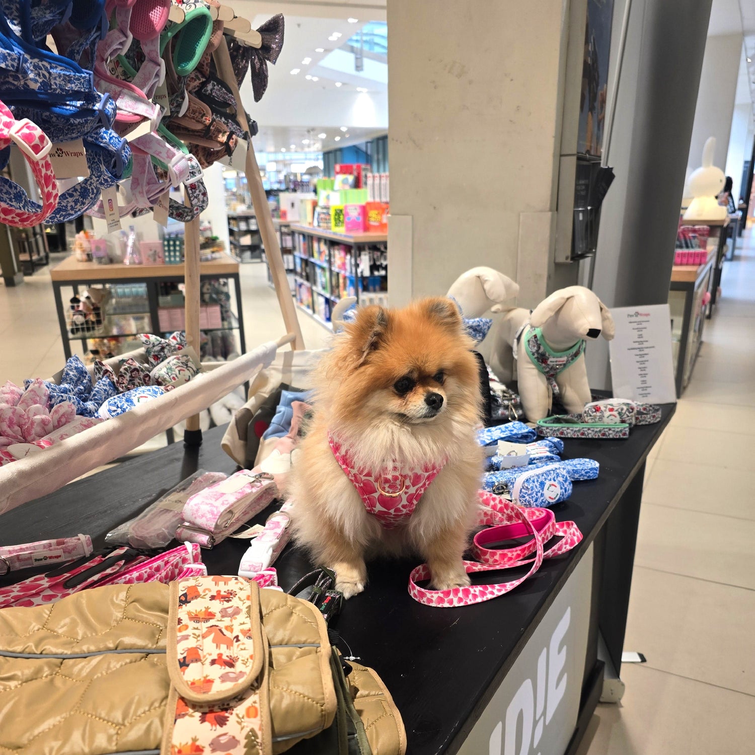 Paw Wraps Dog Accessories featured In John Lewis Stores - Paw Wraps