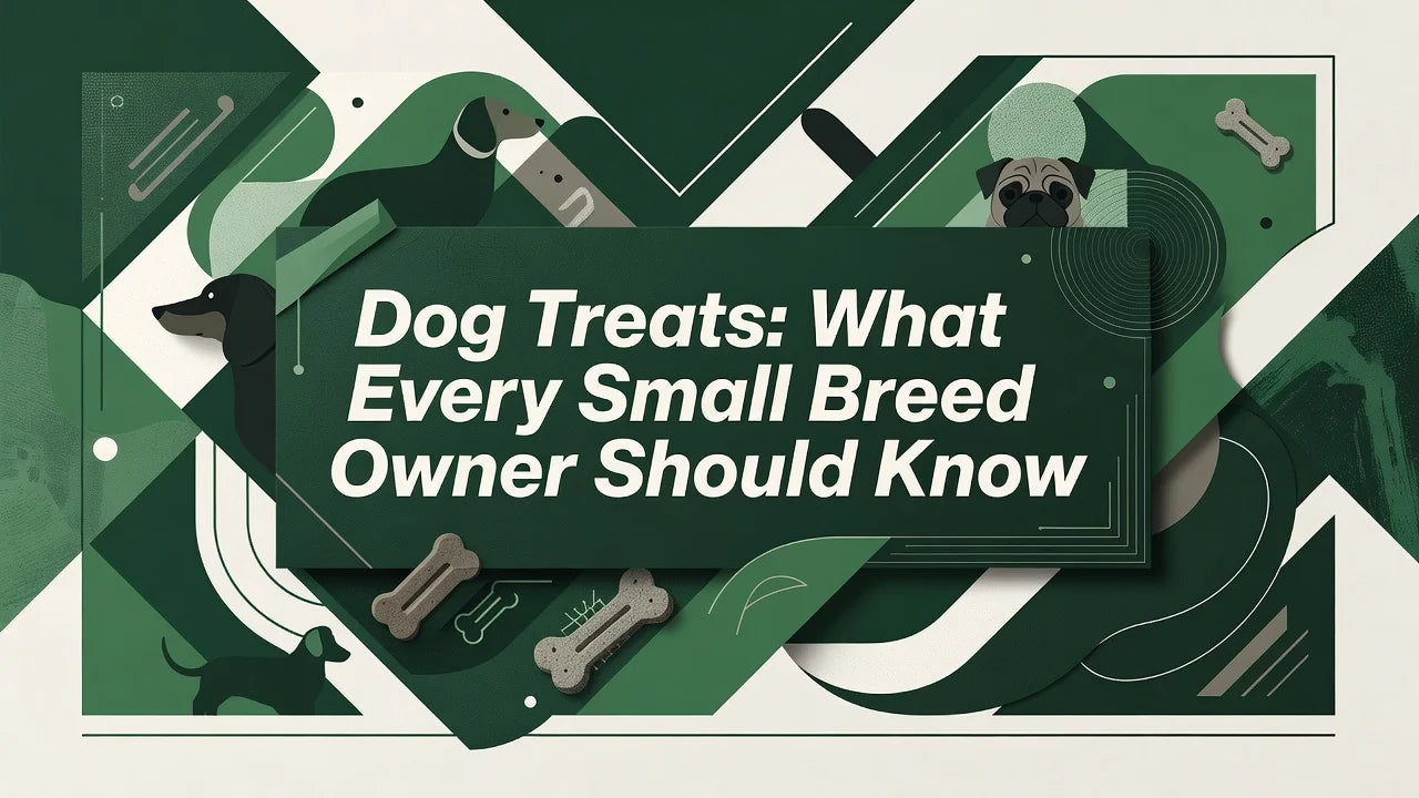 Professional header image for list-based article: Dog Treats: What Every Small Breed Owner Should Know
