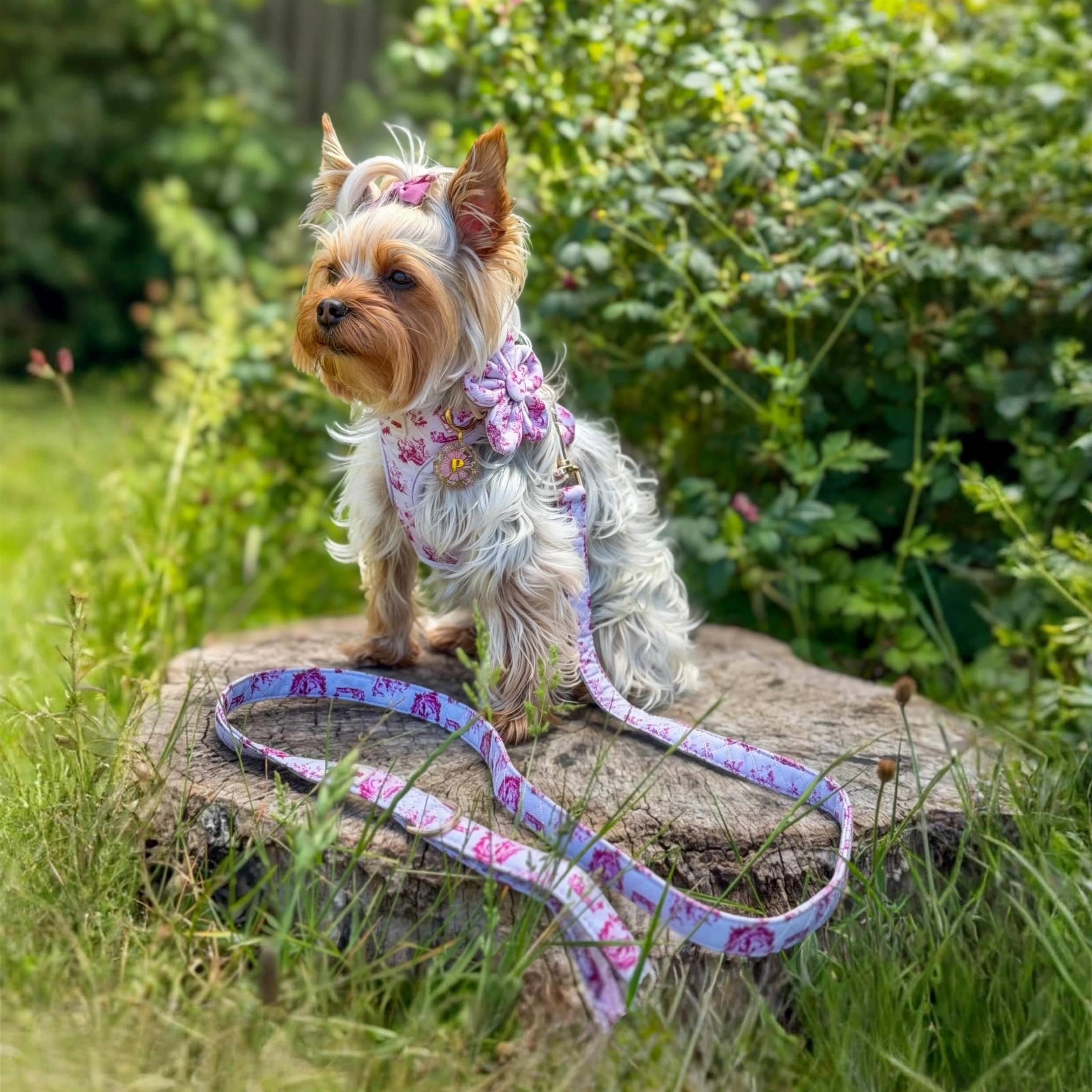 Paw Wraps Dog Harness Cherry Toile de Jouy Dog Harness