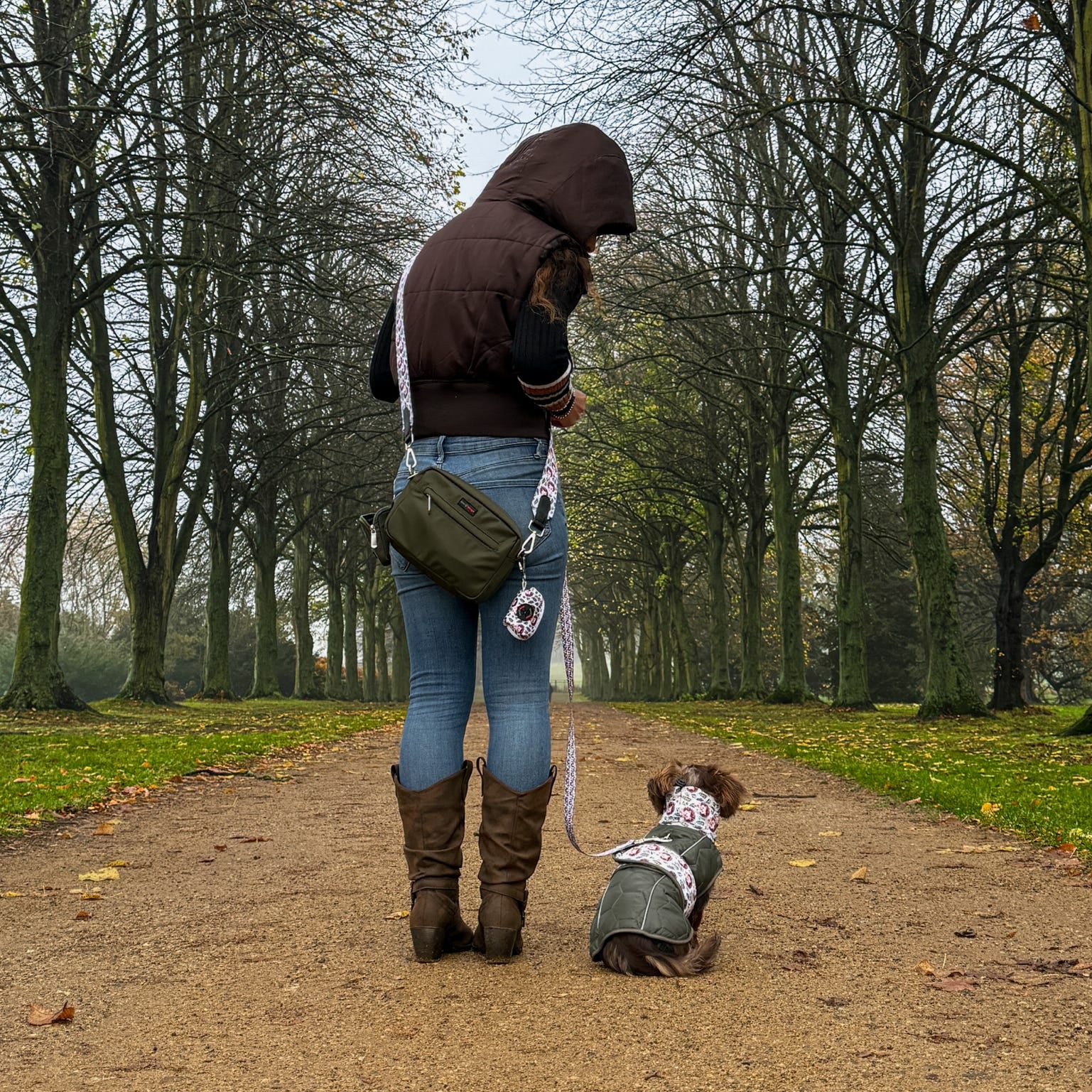 Woman walking small dog in stylish matching print harness and coat on park path