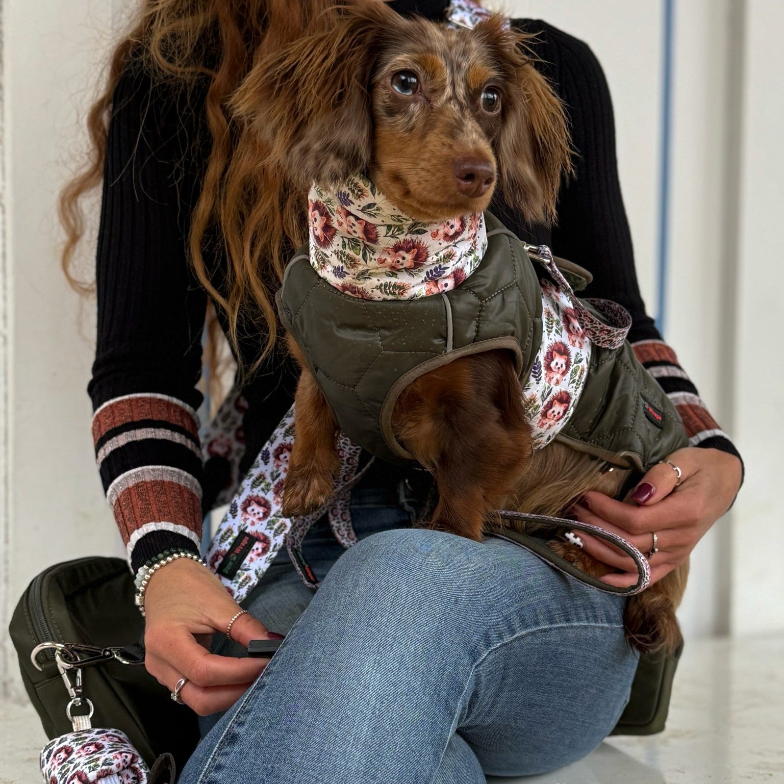 Paw Wraps Dog Coat Waterproof Padded Dog Coat Country Hedgehog