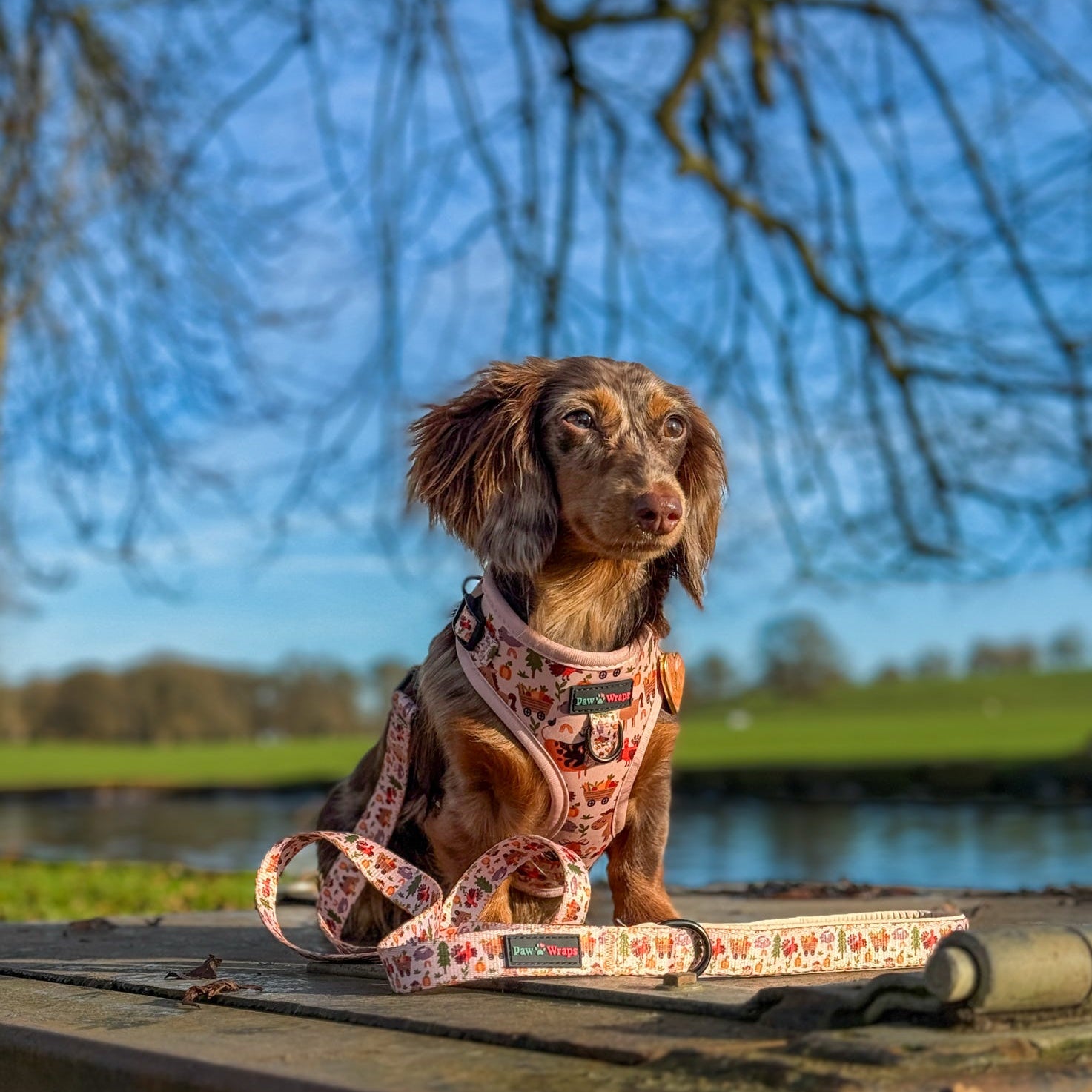 Paw Wraps Dog Harness Whimsical Farm No-Pull Dog Harness