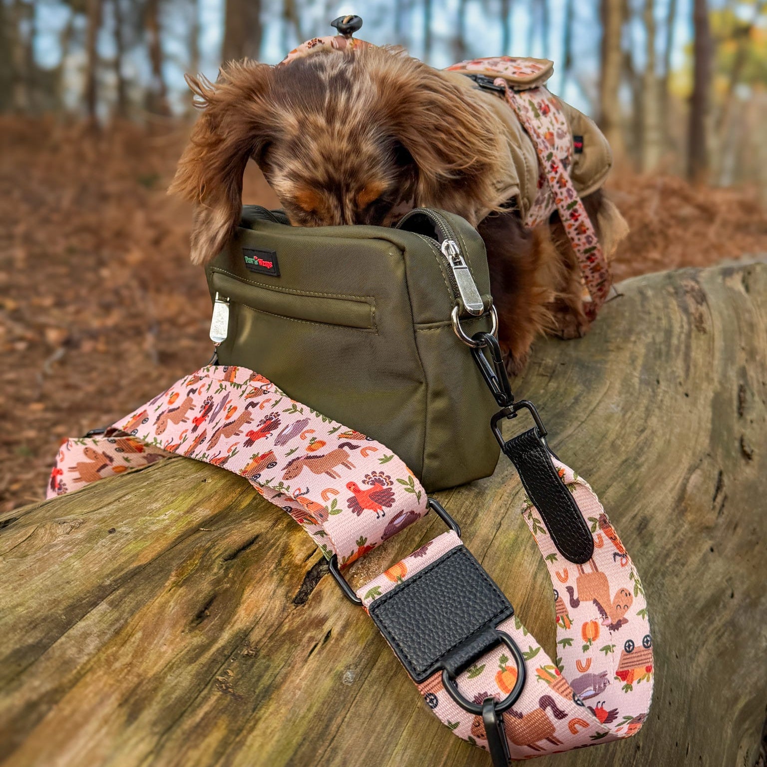 Paw Wraps DOG WALKING BAG Country Green Dog Walking Bag Set with Adjustable Strap 5cm wide