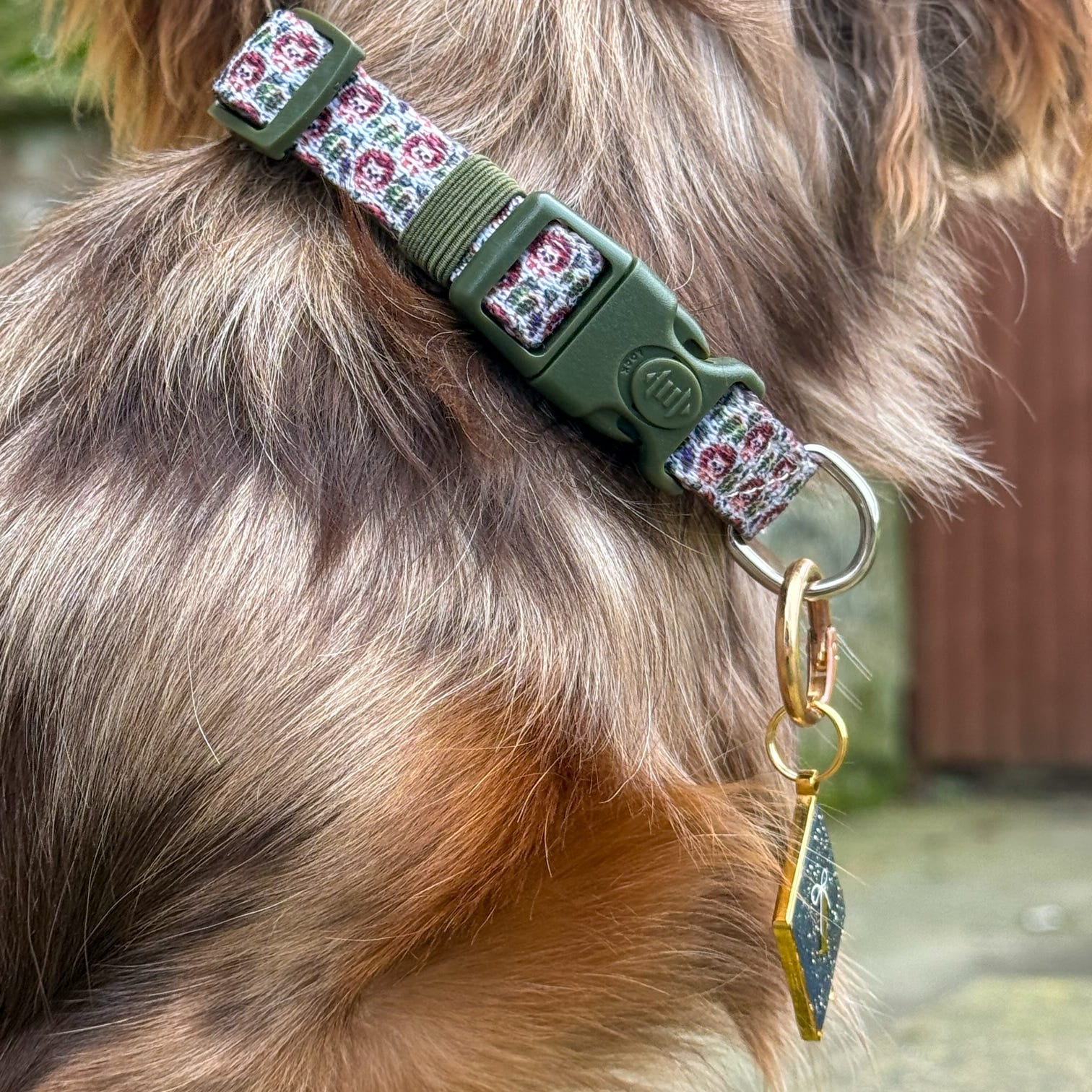 Floral pattern dog collar with olive buckle & gold tag on fluffy pup, stylish small dog accessory for walks