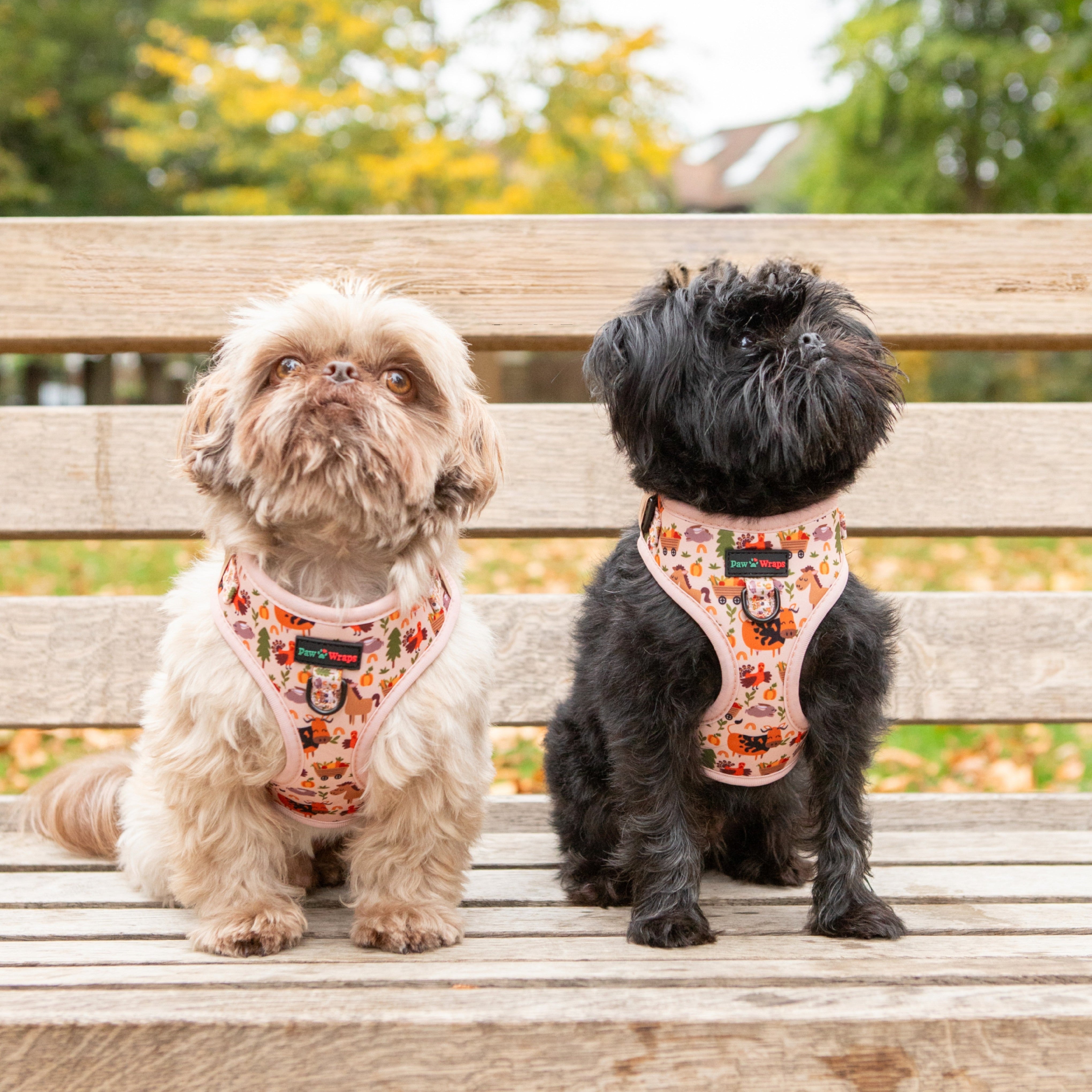 Paw Wraps Dog Harness XS Whimsical Farm No-Pull Dog Harness