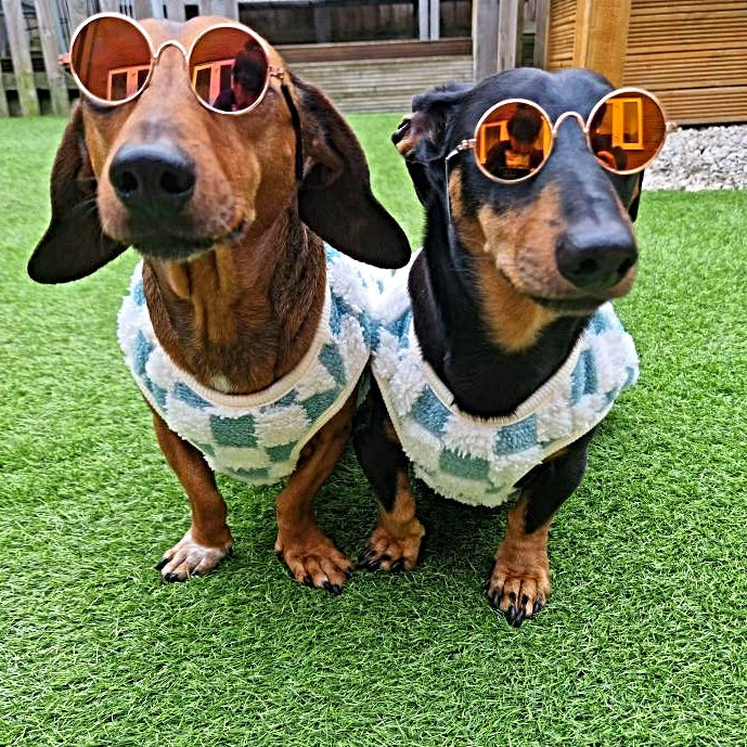 Spring Chequered Dog Vest