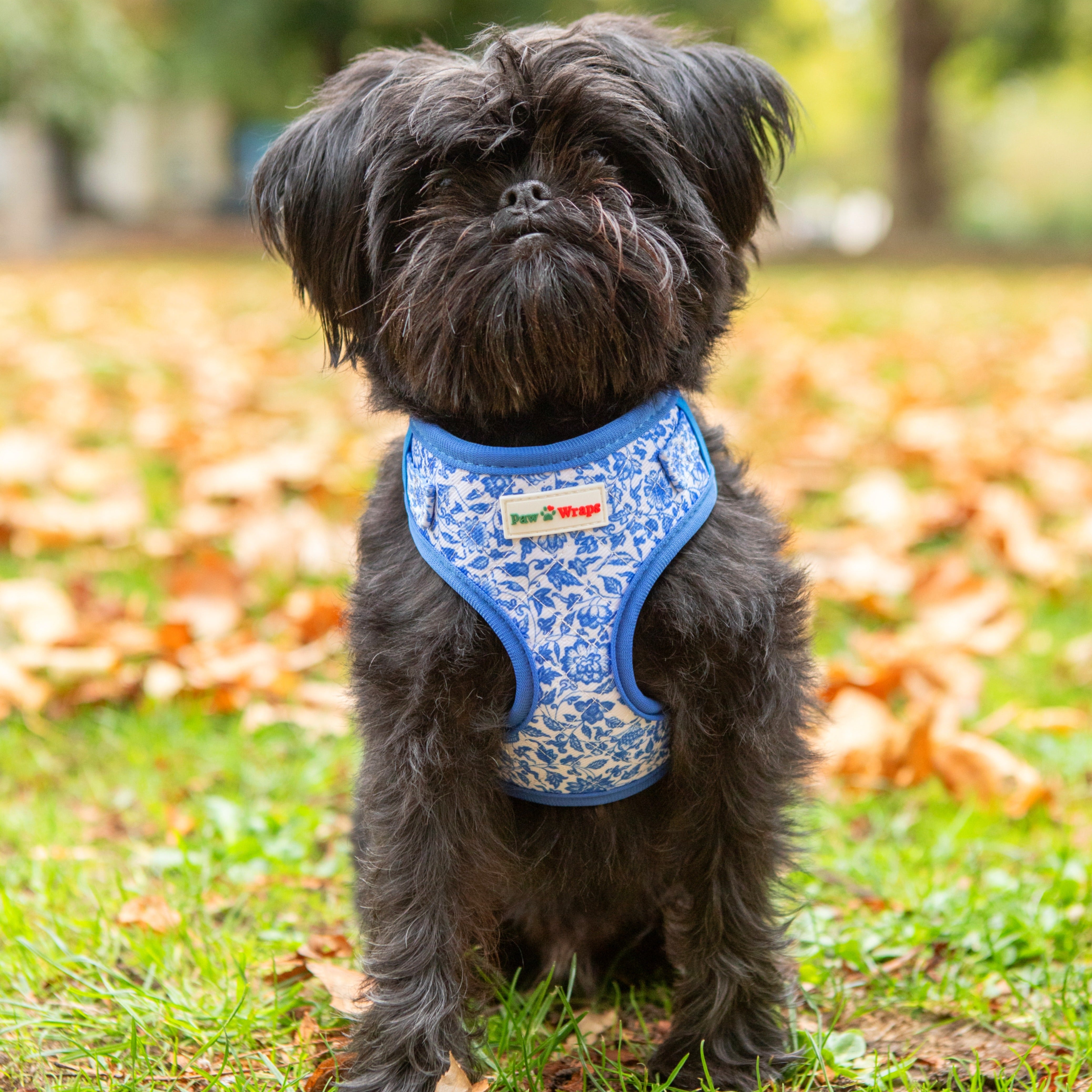 Paw Wraps Dog Harness Blue Toile de Jouy Cotton Adjustable Dog Harness