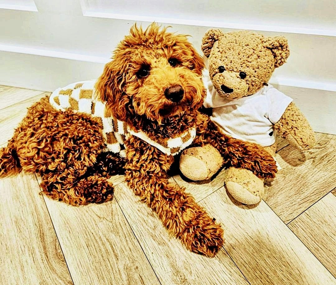 Spring Chequered Dog Vest