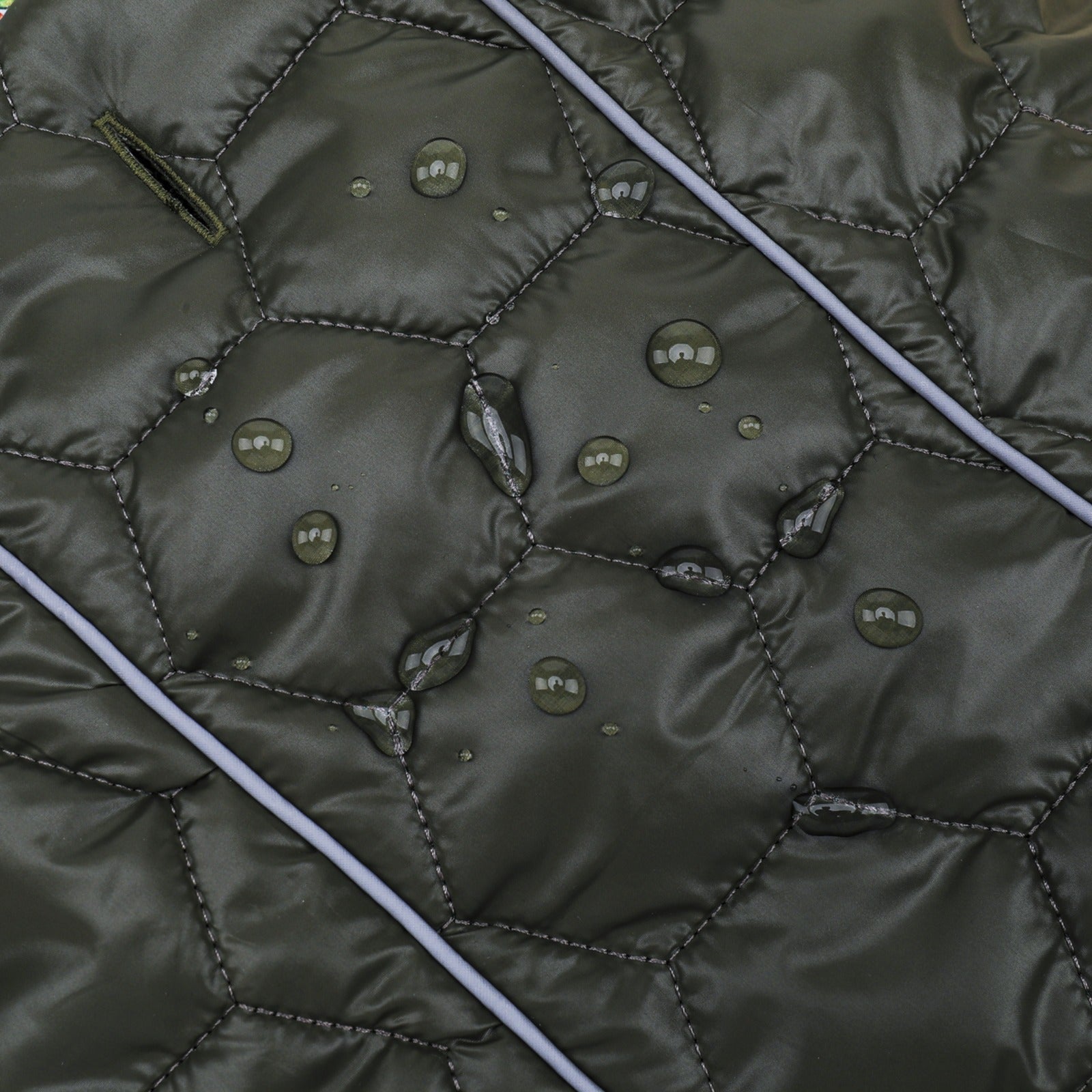 Waterproof Padded Dog Coat Country Hedgehog