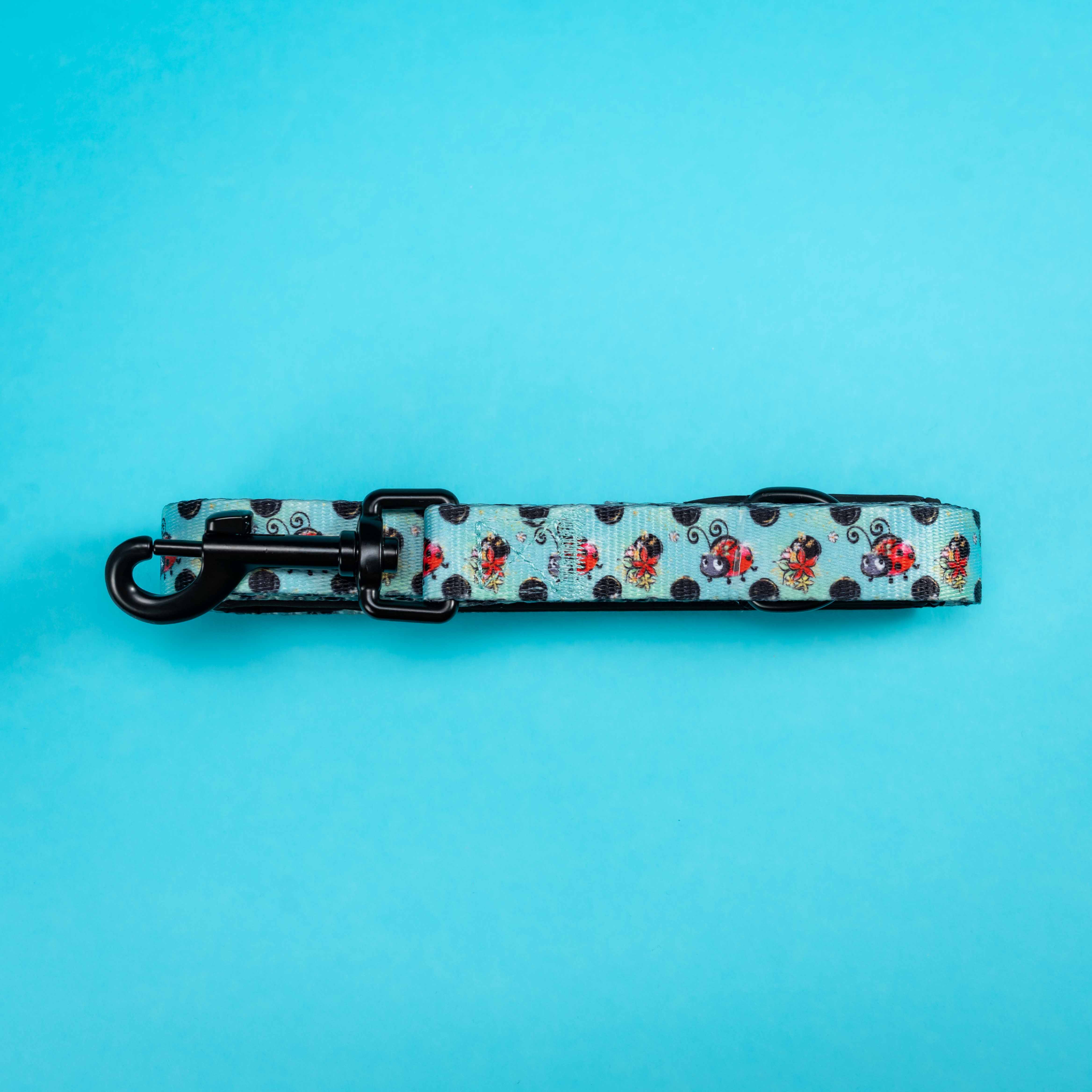 Cute ladybug print dog lead with black hardware on blue background