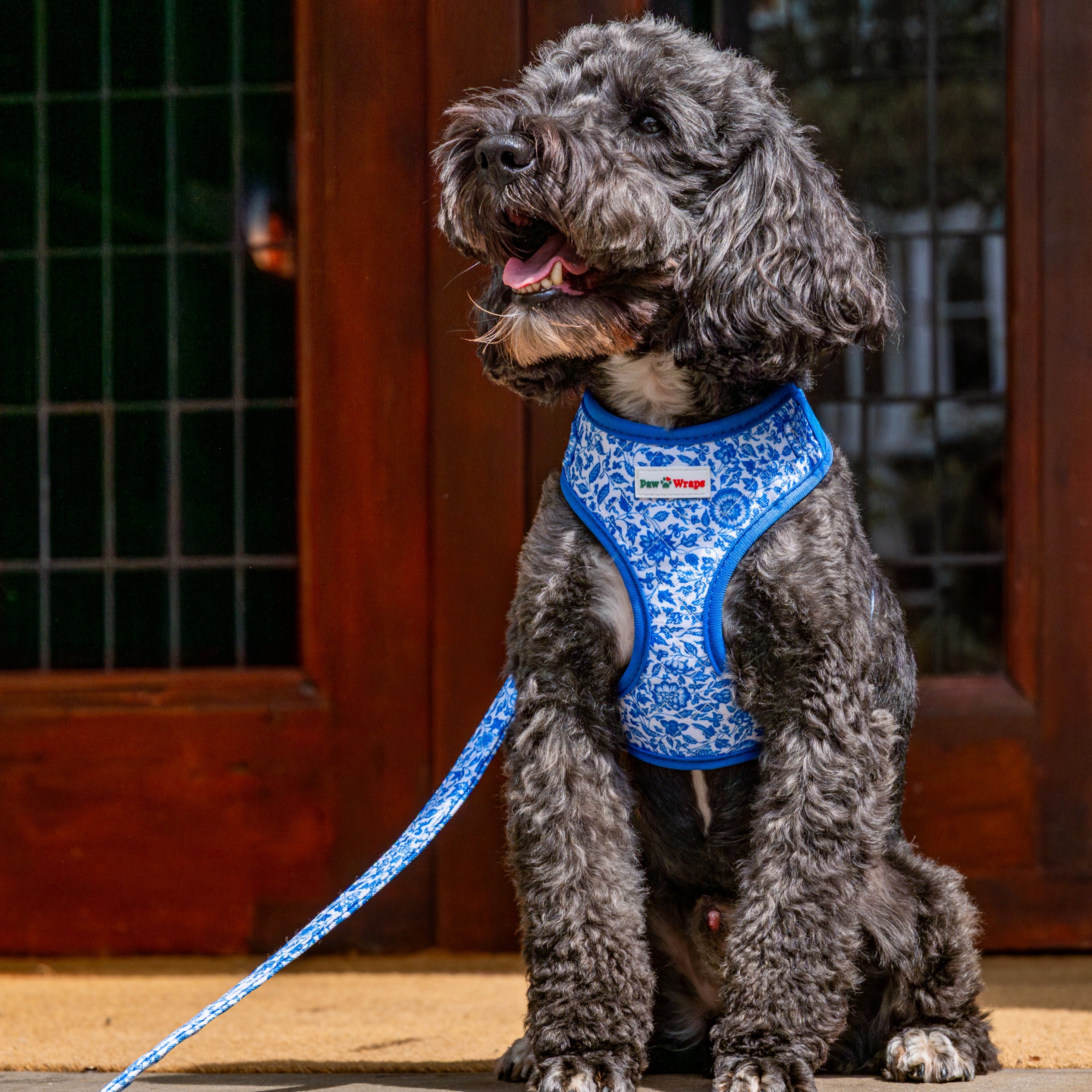 Paw Wraps Dog Harness Blue Toile de Jouy Cotton Adjustable Dog Harness