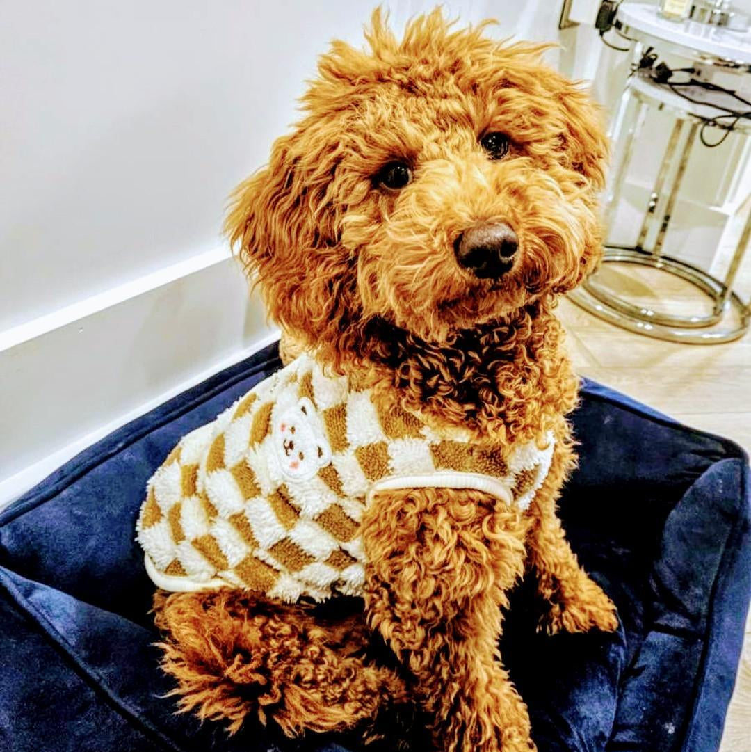 Spring Chequered Dog Vest