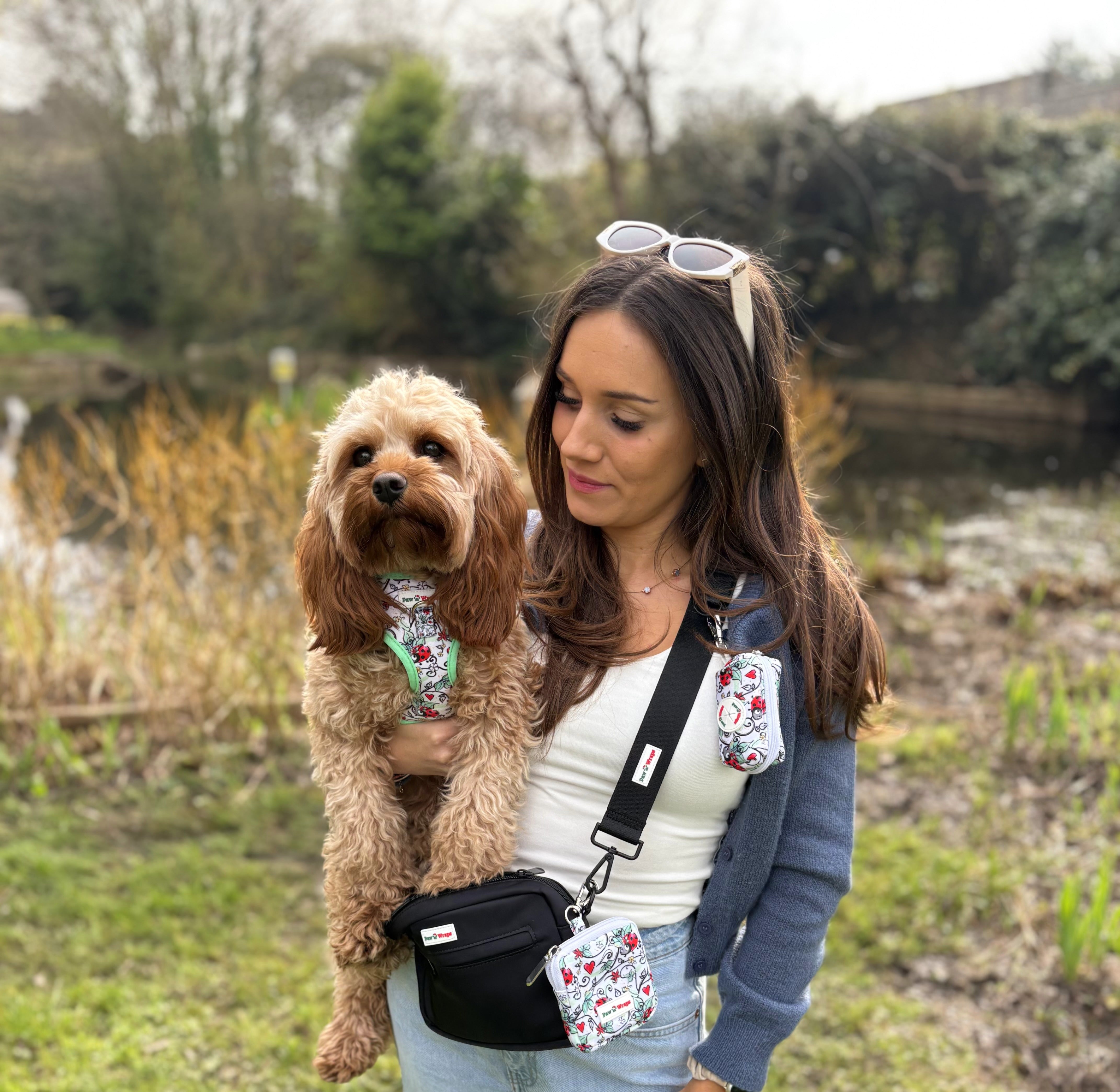 Stylish dog harness and matching walking bag for small dogs, perfect for outdoor adventures.