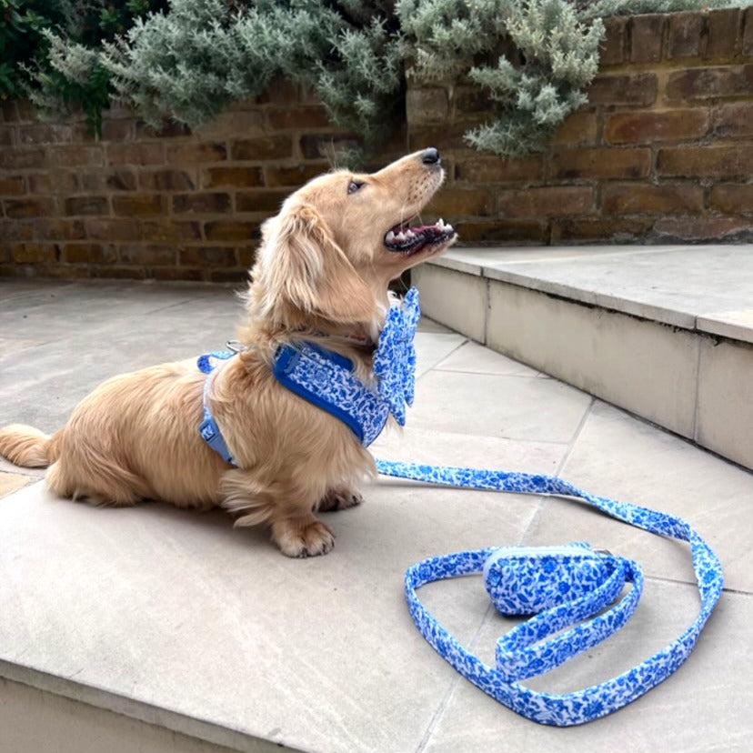 Blue Toile de Jouy Adjustable Neck Dog Harness