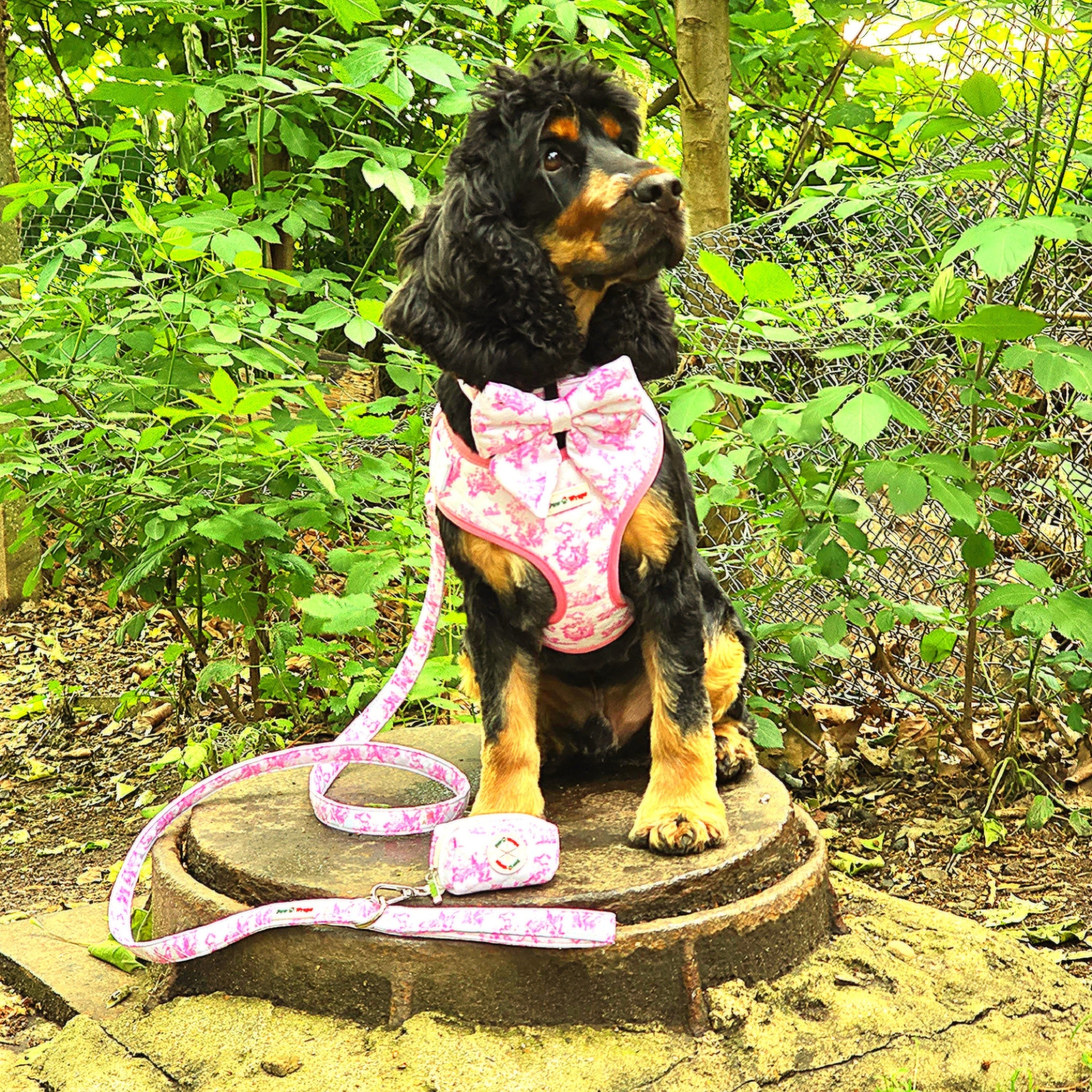 a Paw Wraps product.