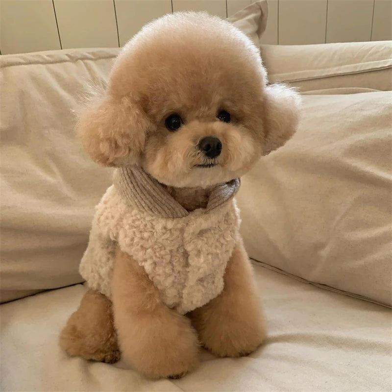 a Paw Wraps product.