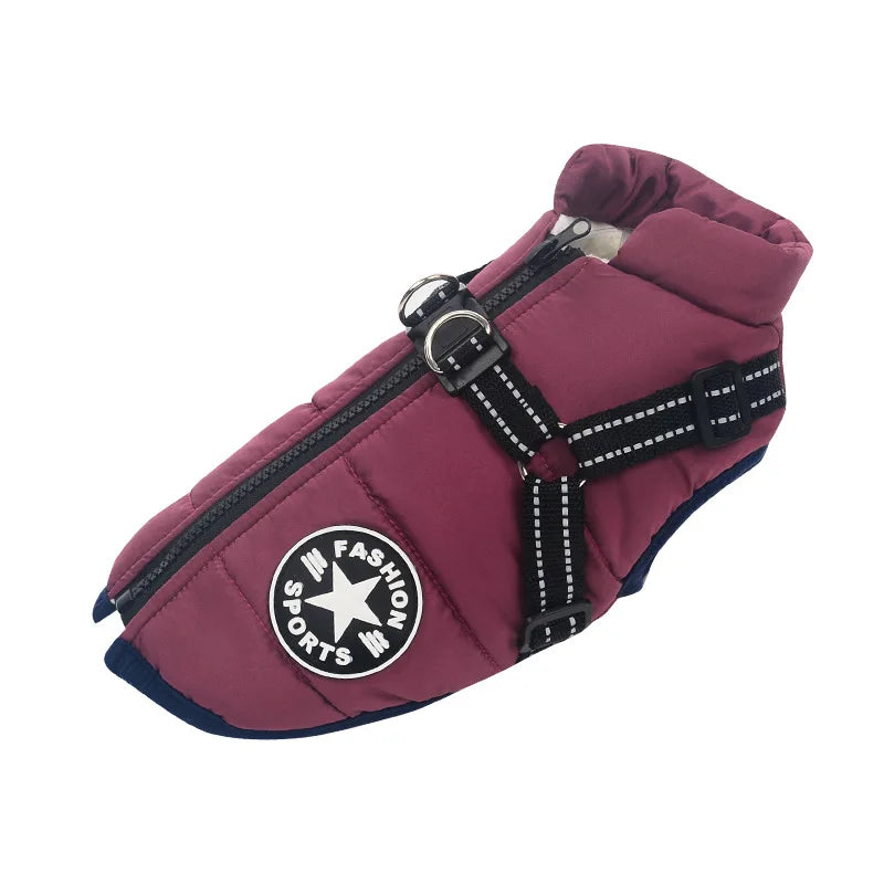 padded dog coat, colour plum, size small by Paw Wraps