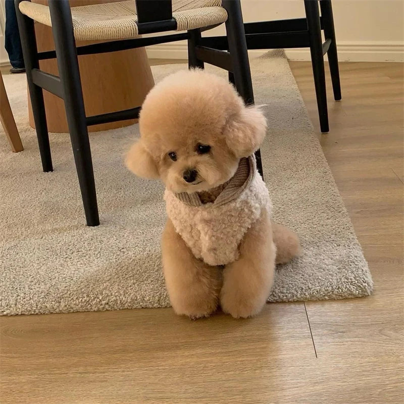 a Paw Wraps product.