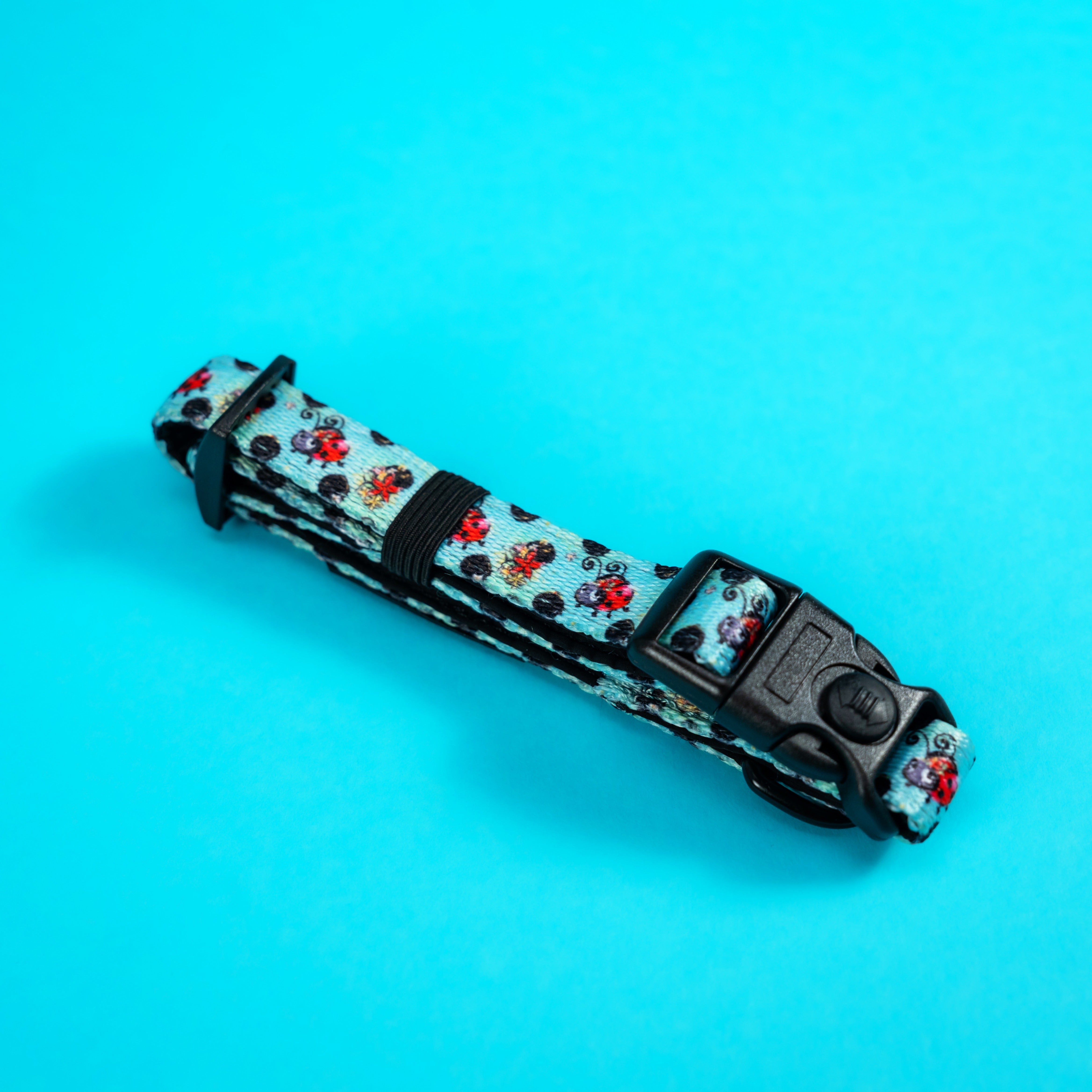 Stylish dog leash with ladybug print, perfect for small dogs and puppy walks