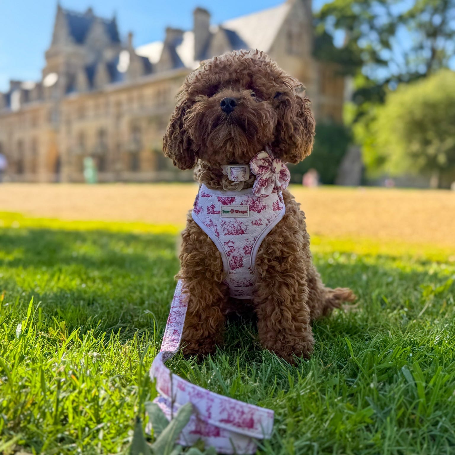 Paw Wraps Dog Harness Cherry Toile de Jouy Adjustable Dog Harness