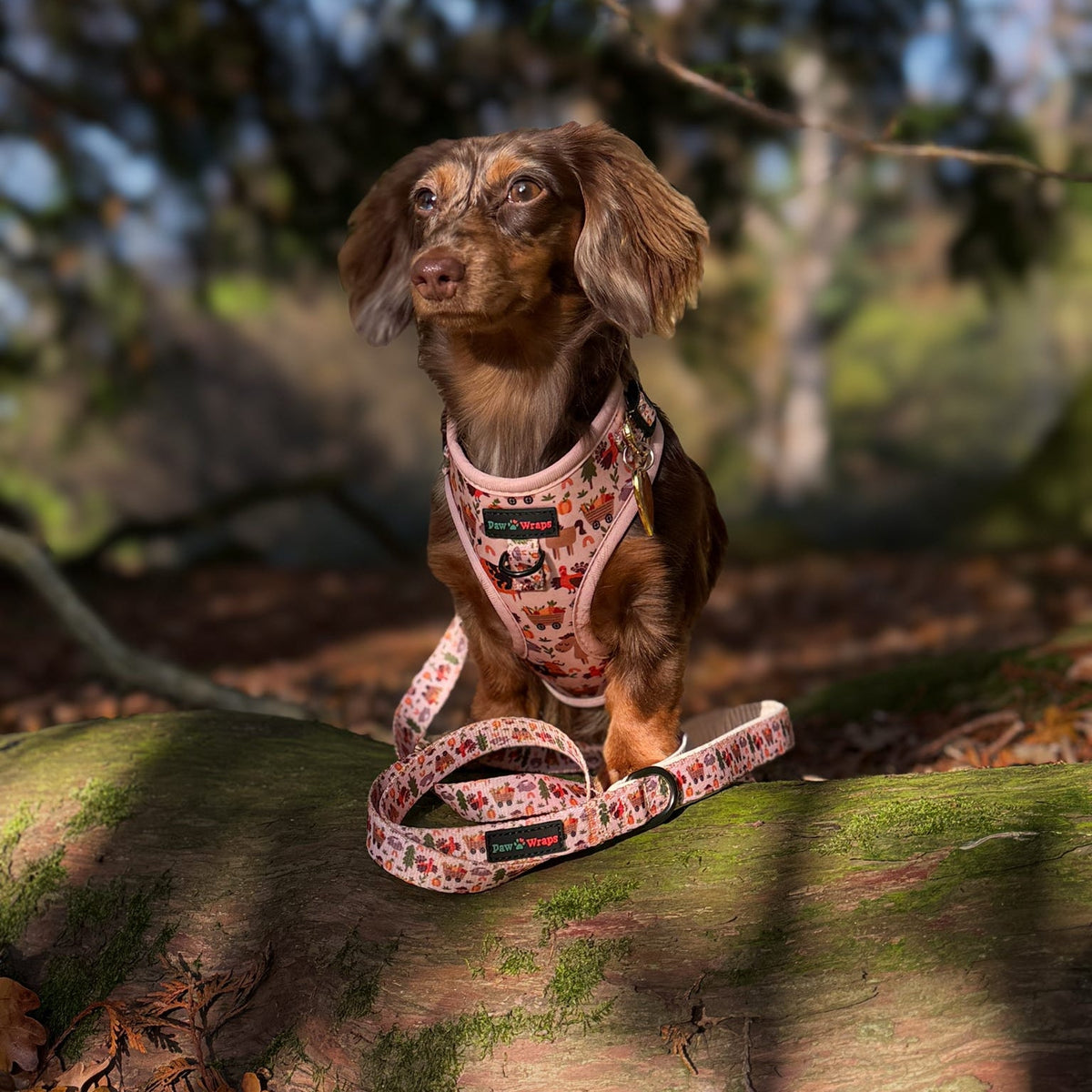 Paw Wraps Dog Harness S Whimsical Farm Print No-Pull Neoprene Dog Harness