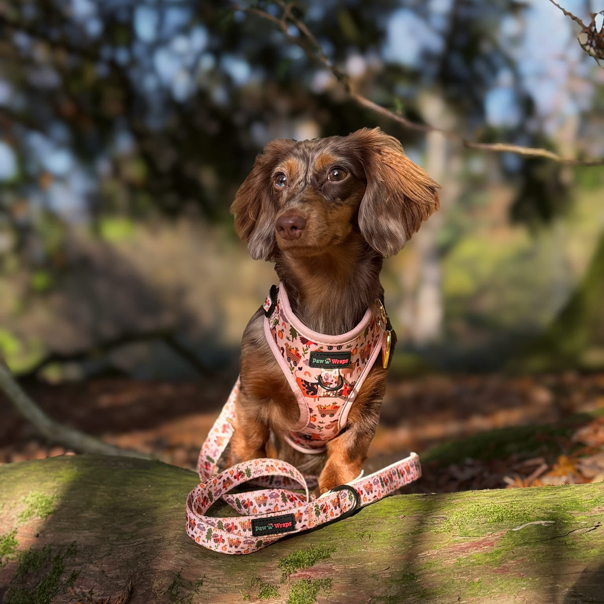 Paw Wraps Dog Lead Whimsical Farm Print Pastel Brown Dog Lead