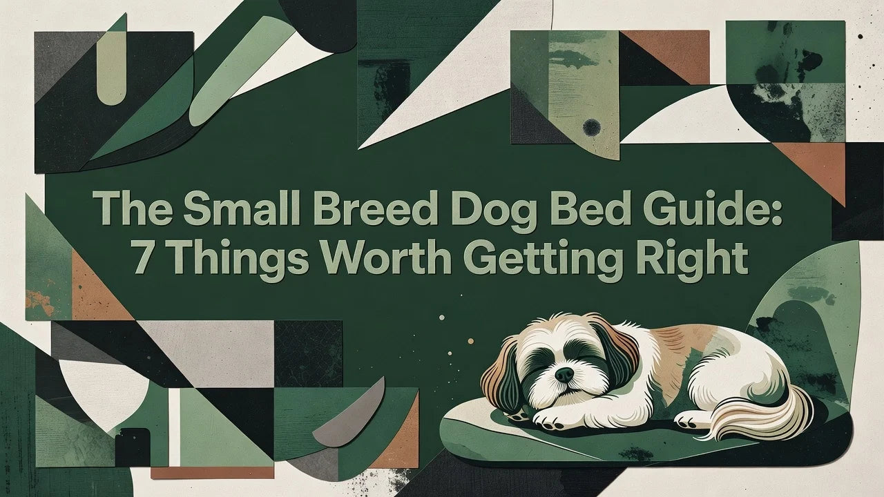 Professional header image for list-based article: The Small Breed Dog Bed Guide: 7 Things Worth Getting Right