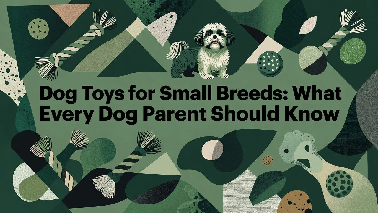 Professional header image for list-based article: Dog Toys for Small Breeds: What Every Dog Parent Should Know