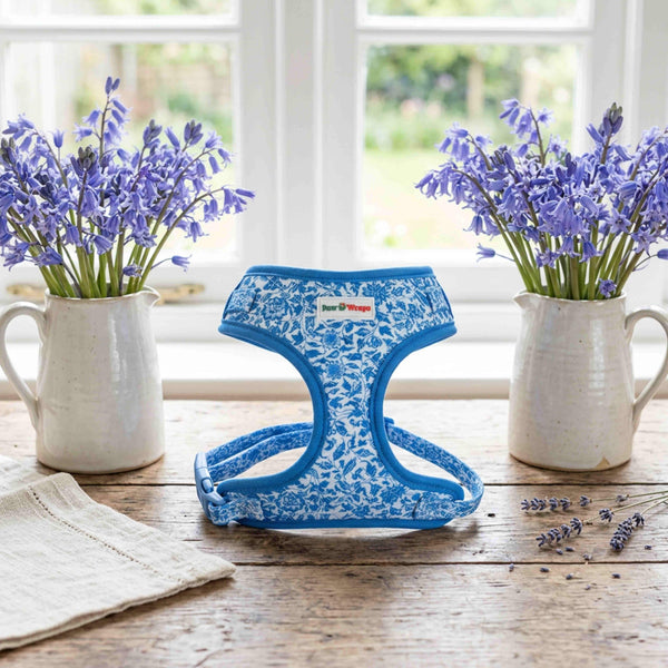 Blue floral dog harness on rustic wood, styled with purple flowers near window for chic puppy walks