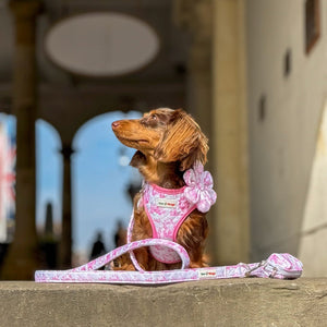 Toile de Jouy Harness Sets - Pink/White