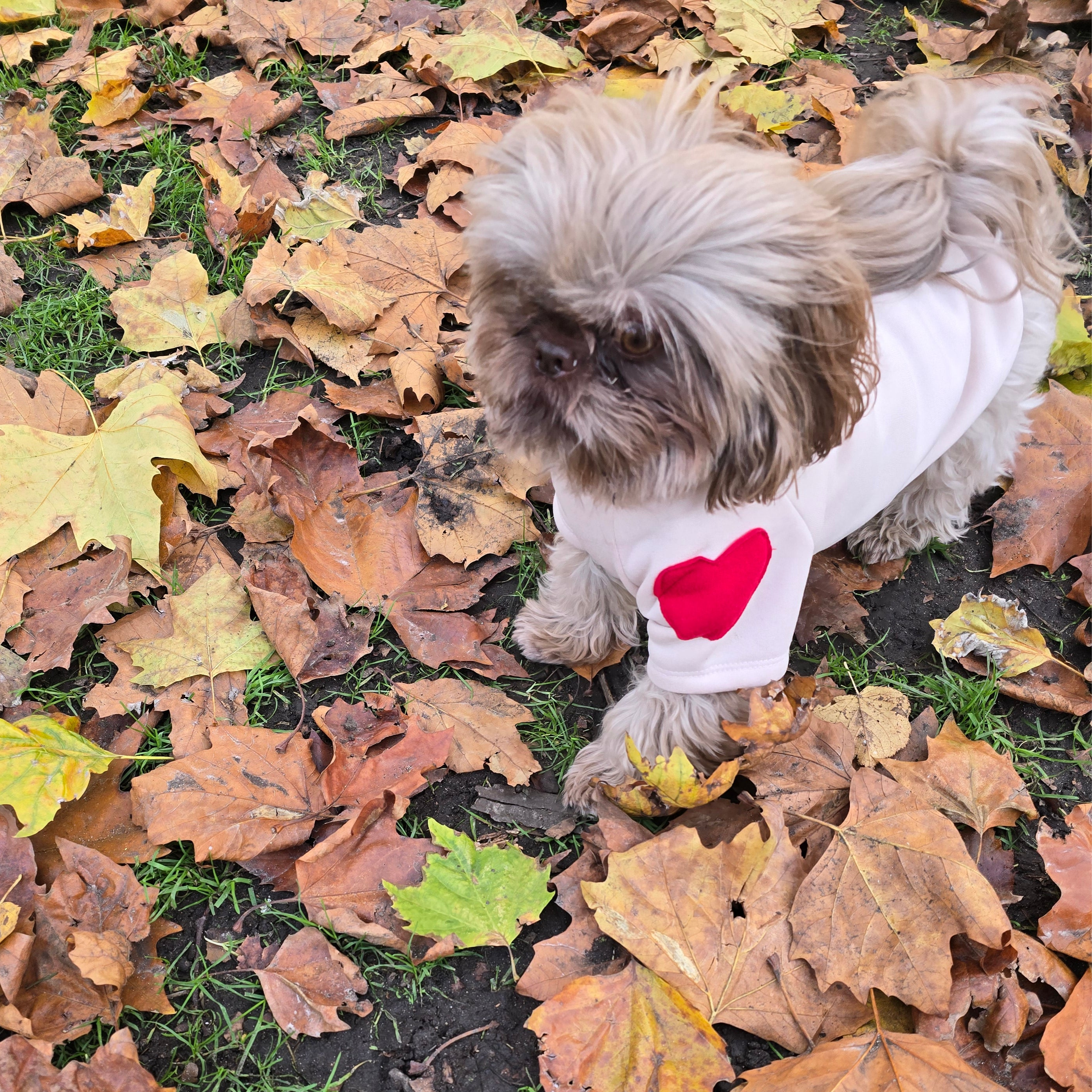 Love Heart Dog Sweater