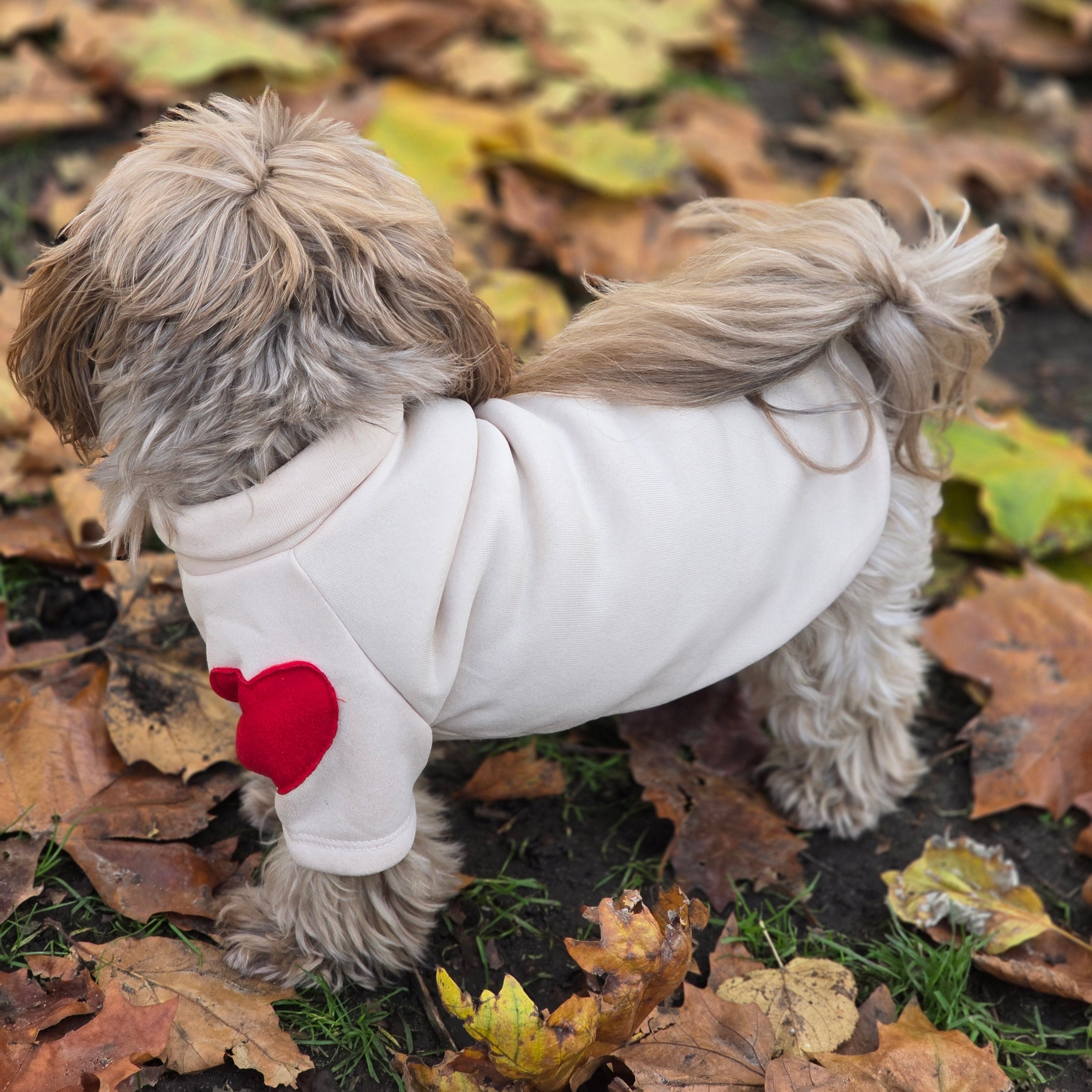 Love Heart Dog Sweater