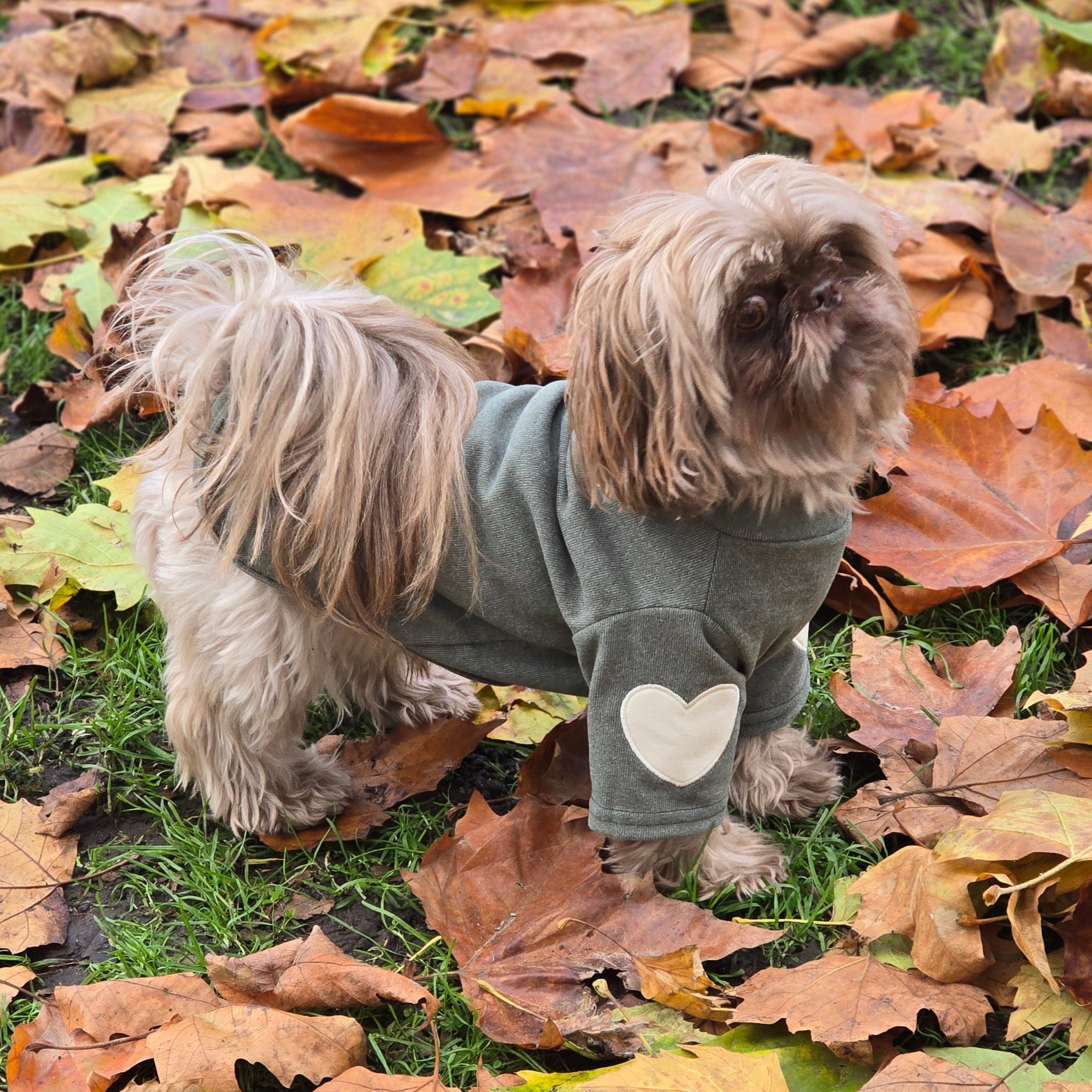 Cosy Puppy Dog Pullover