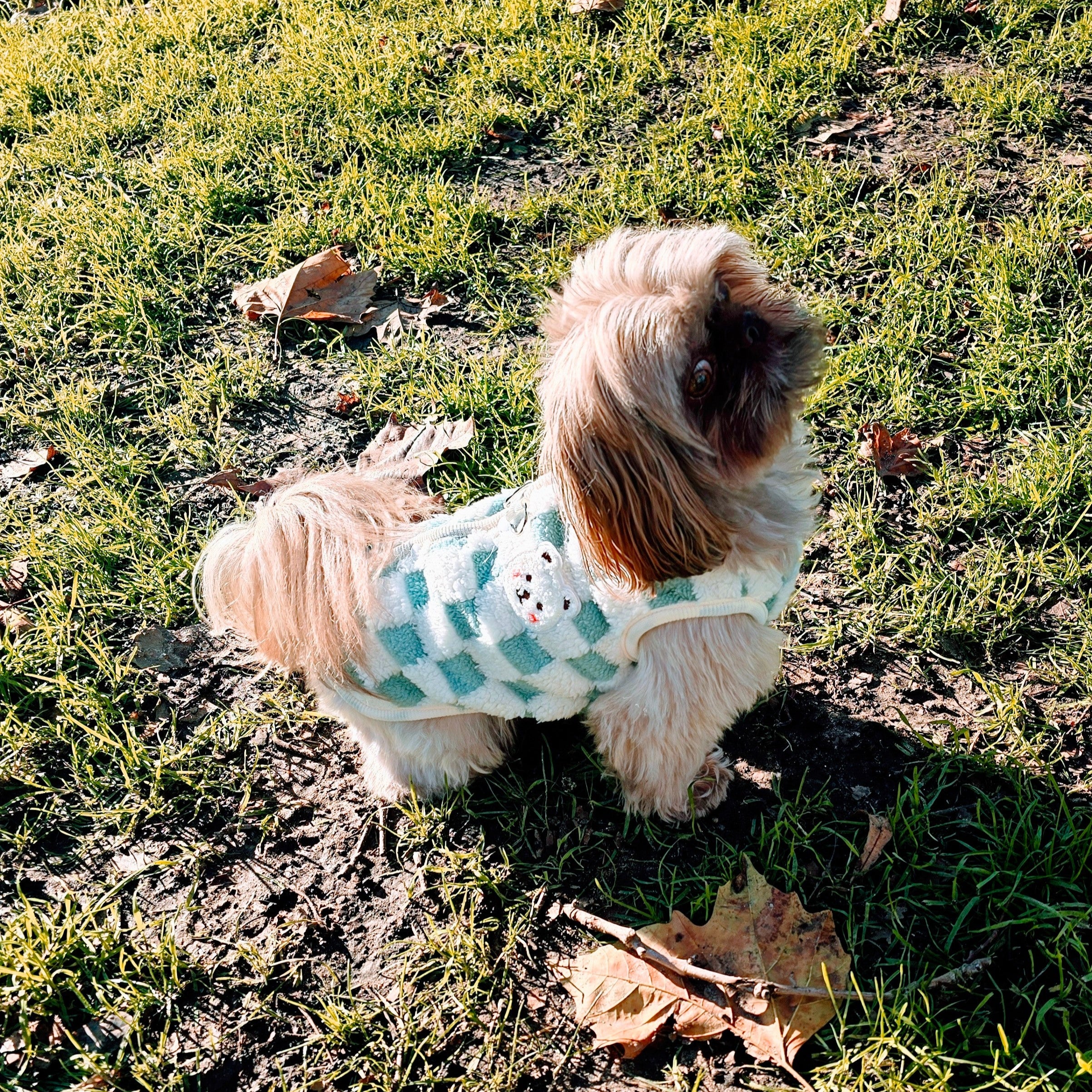 Winter Chequered Dog Vest