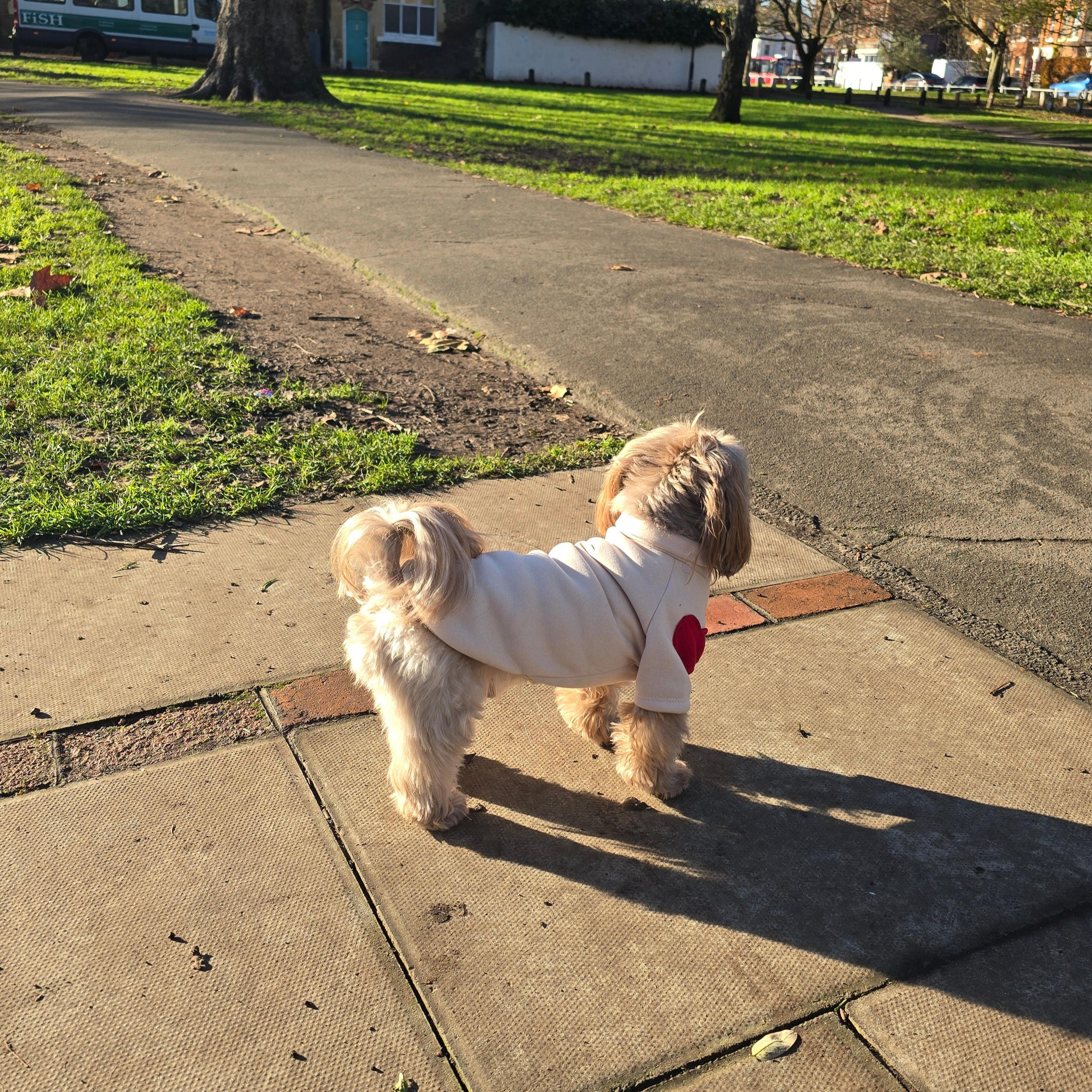 Love Heart Dog Sweater