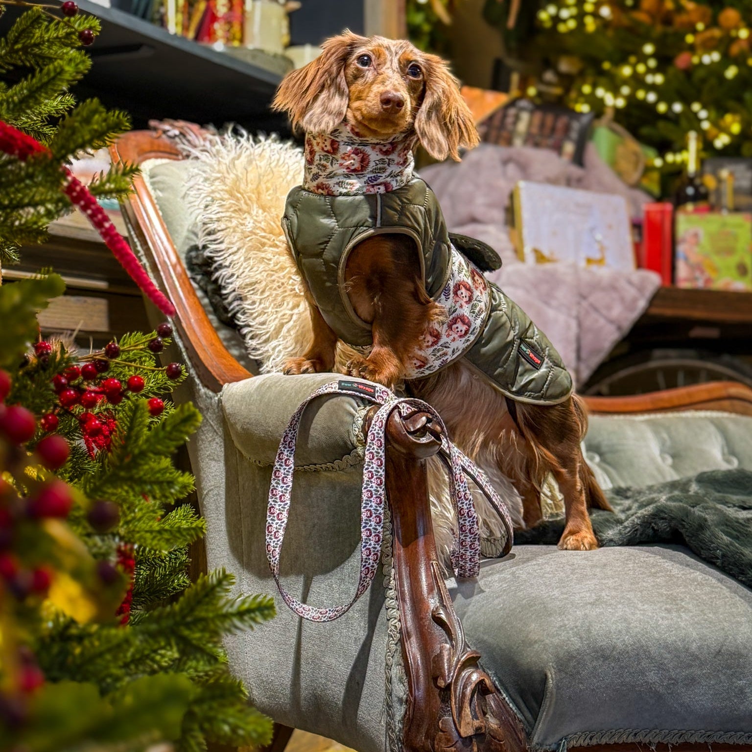 Waterproof Padded Dog Coat Country Hedgehog