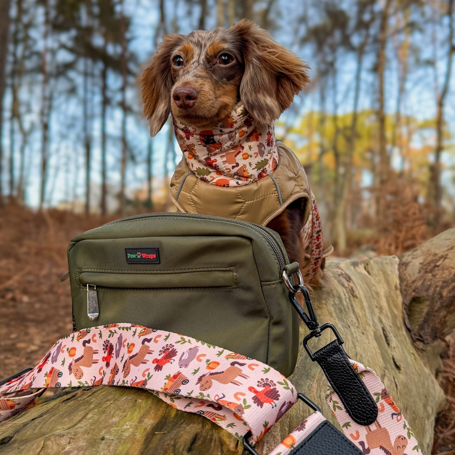 Country Green Dog Walking Bag Set with Adjustable Strap