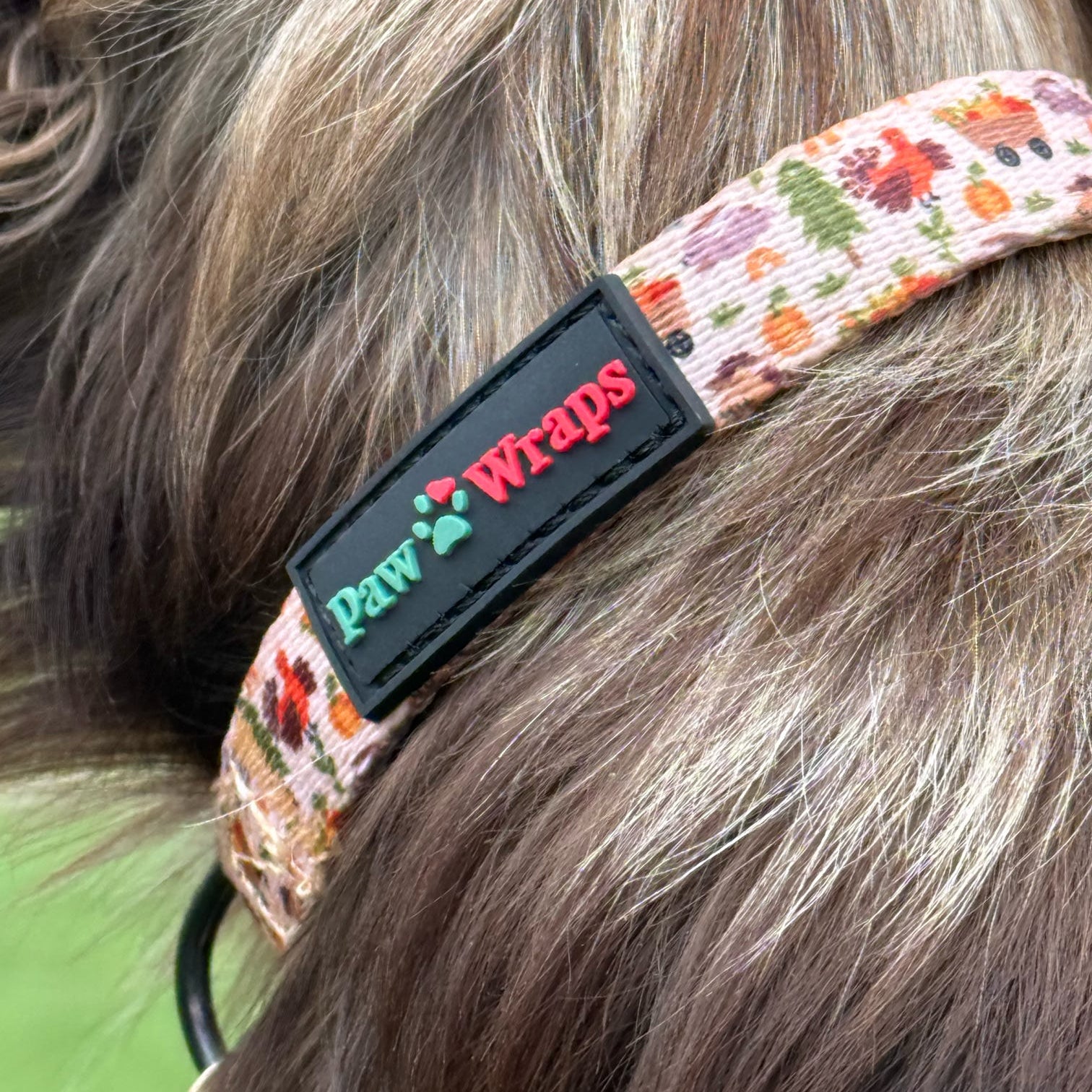 Whimsical Farm patterned dog collar with a Paw Wraps brand label on a dog's neck.