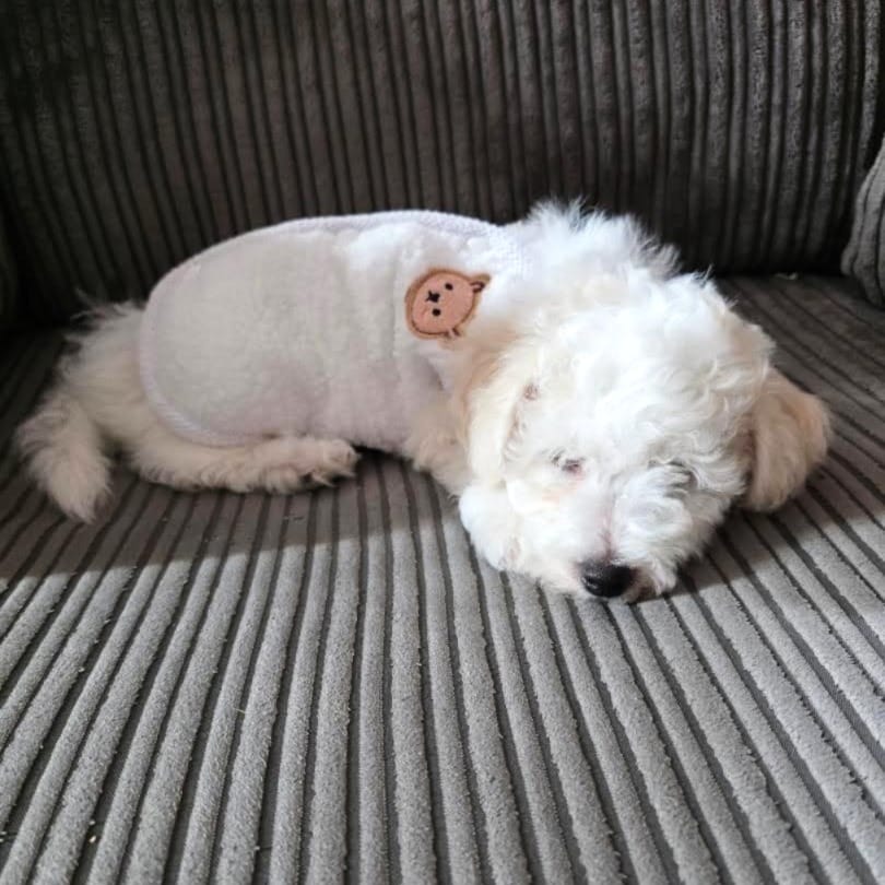 Paw Wraps SWEATER Cute Soft Dog Fleece Vest Teddy Motif