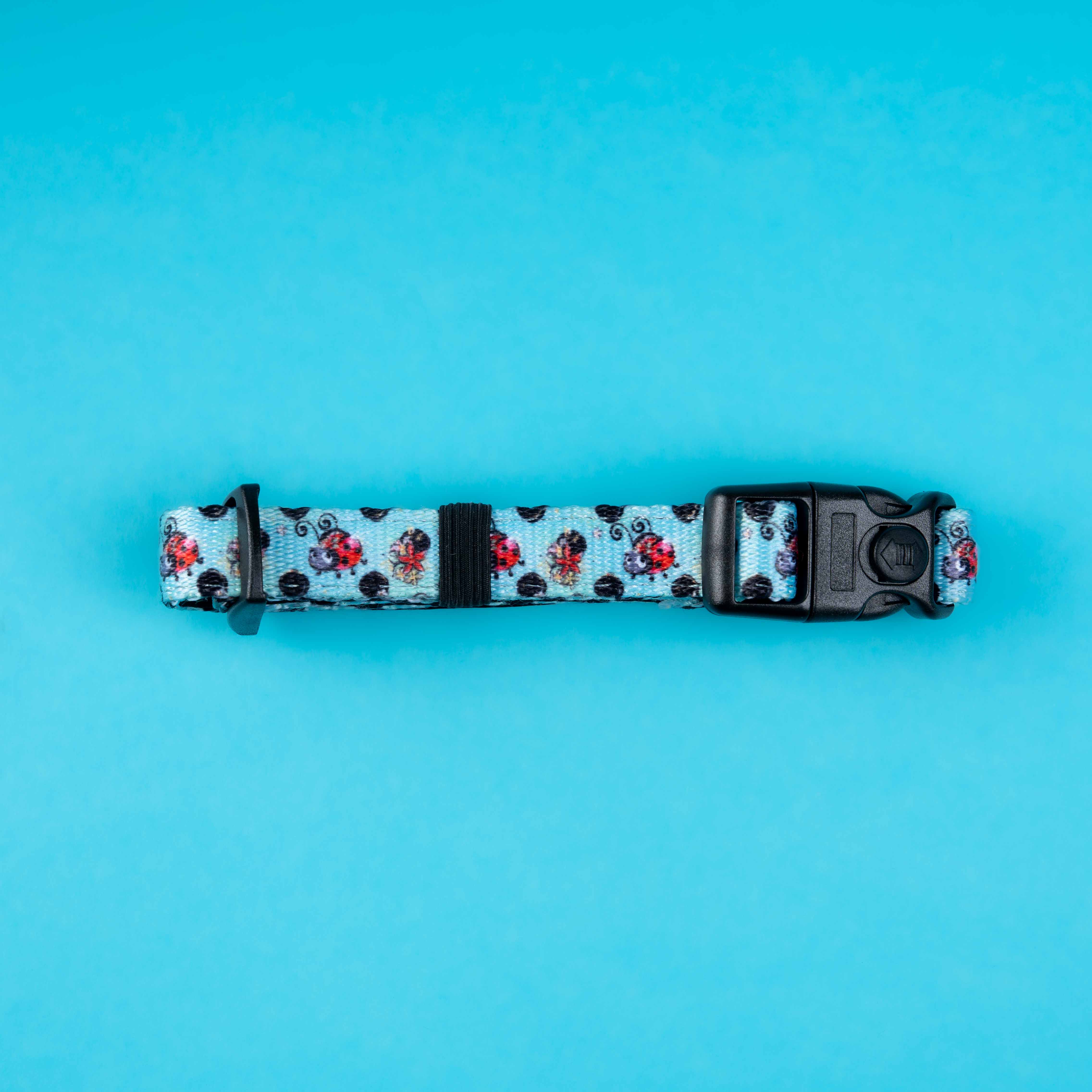 Cute ladybug print dog collar with black buckle on blue background, perfect for puppy walks and small dogs.