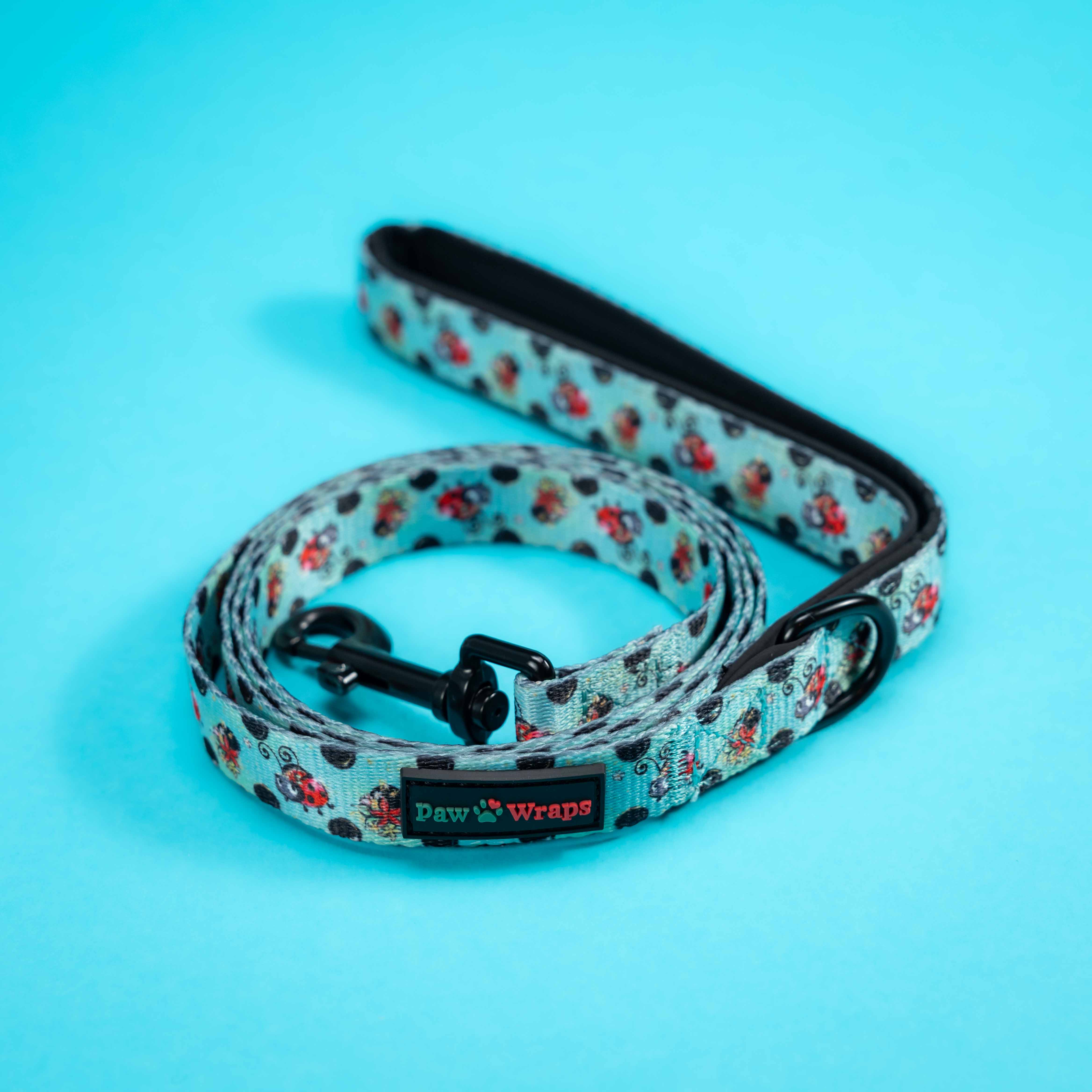 Cosy Winter LadyBird Dog Lead