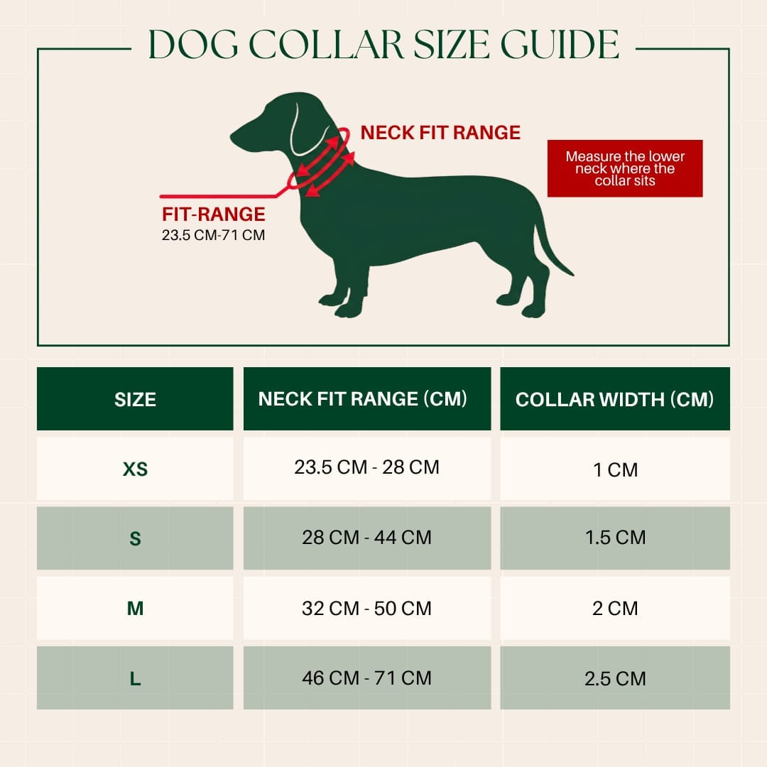 Dog collar size guide with a dachshund illustration and measurement chart.