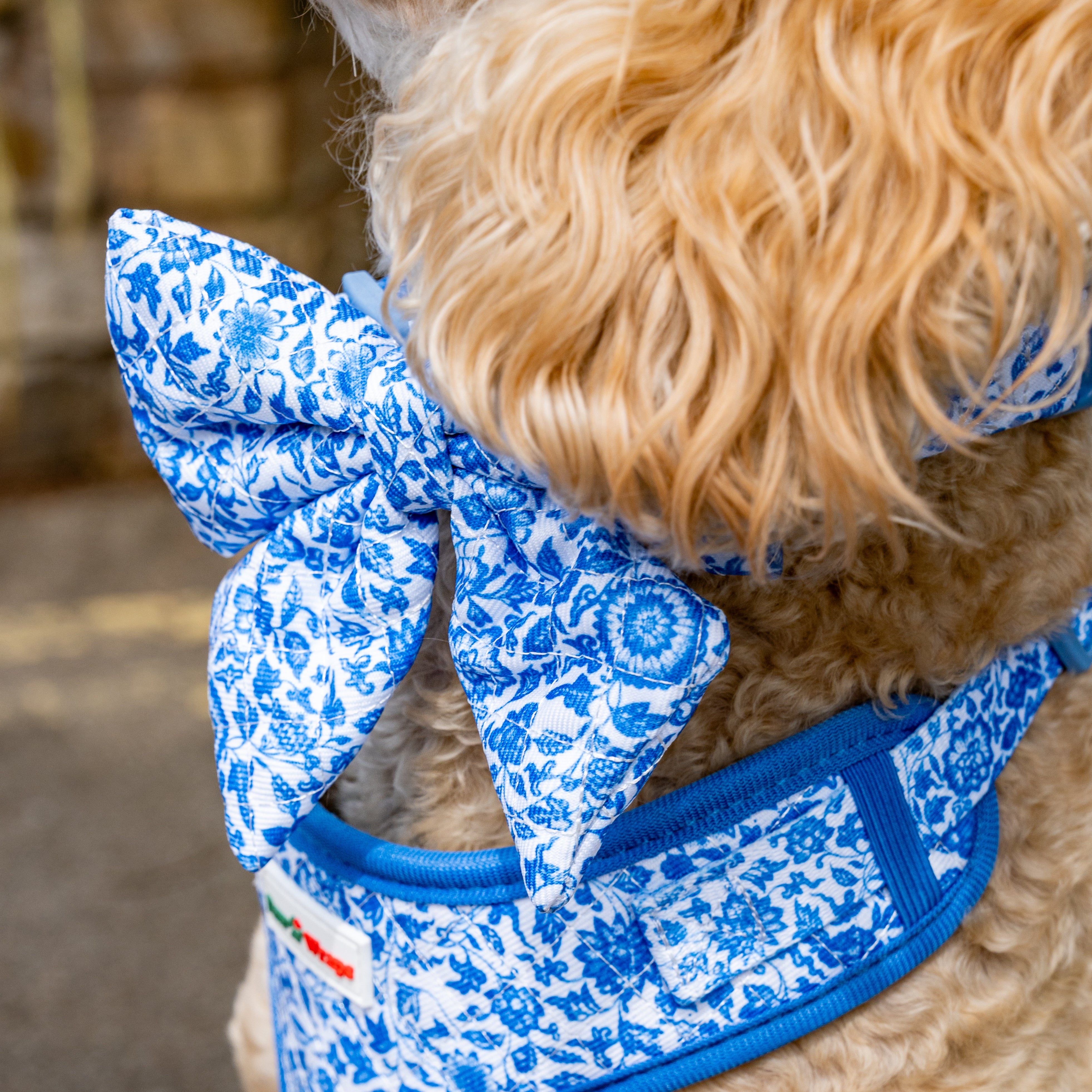 a Paw Wraps product.
