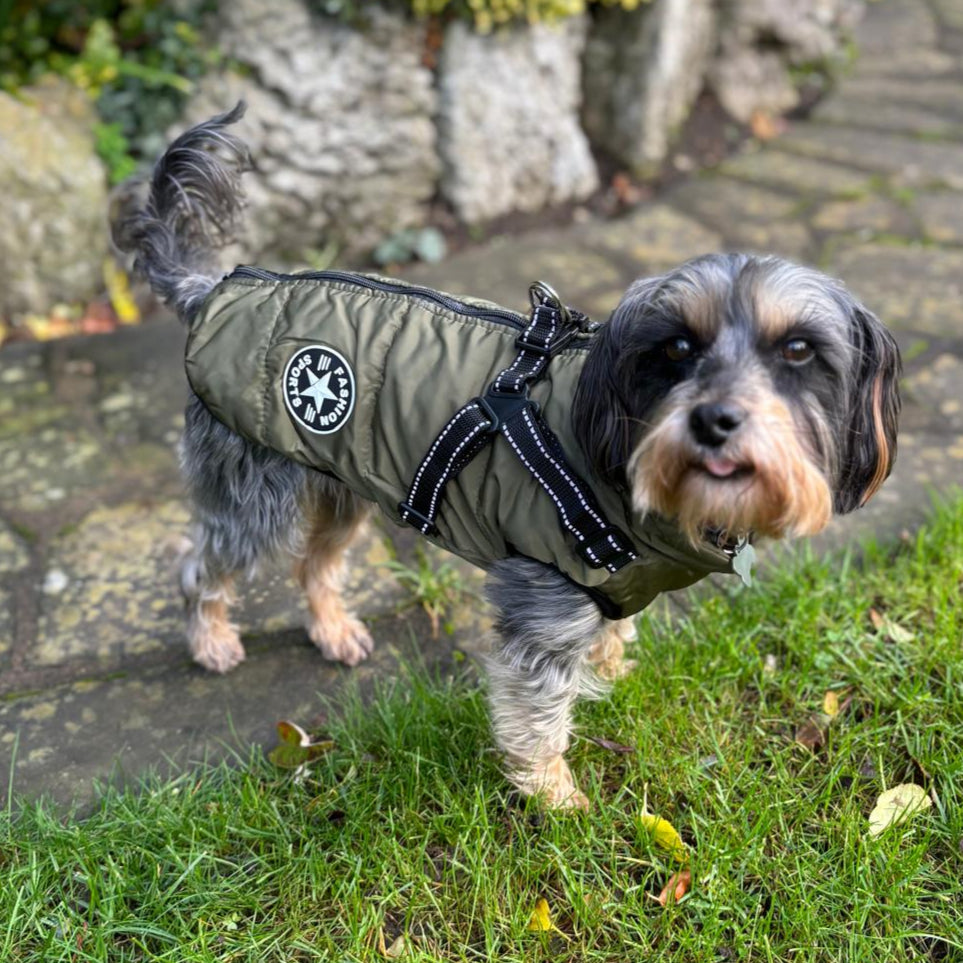 Waterproof  Padded Dog Coat