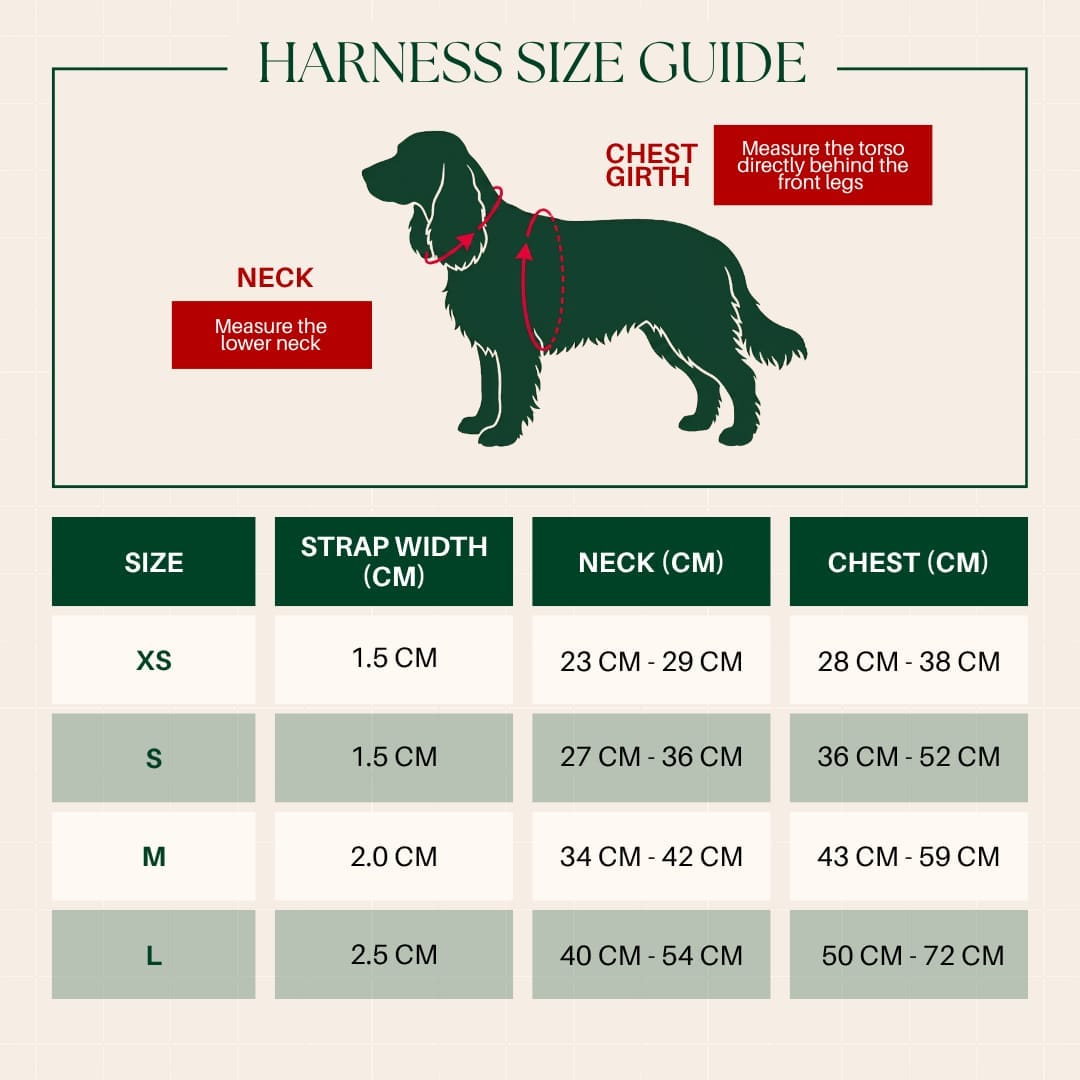 Dog harness size guide with measurements for neck and chest girth.