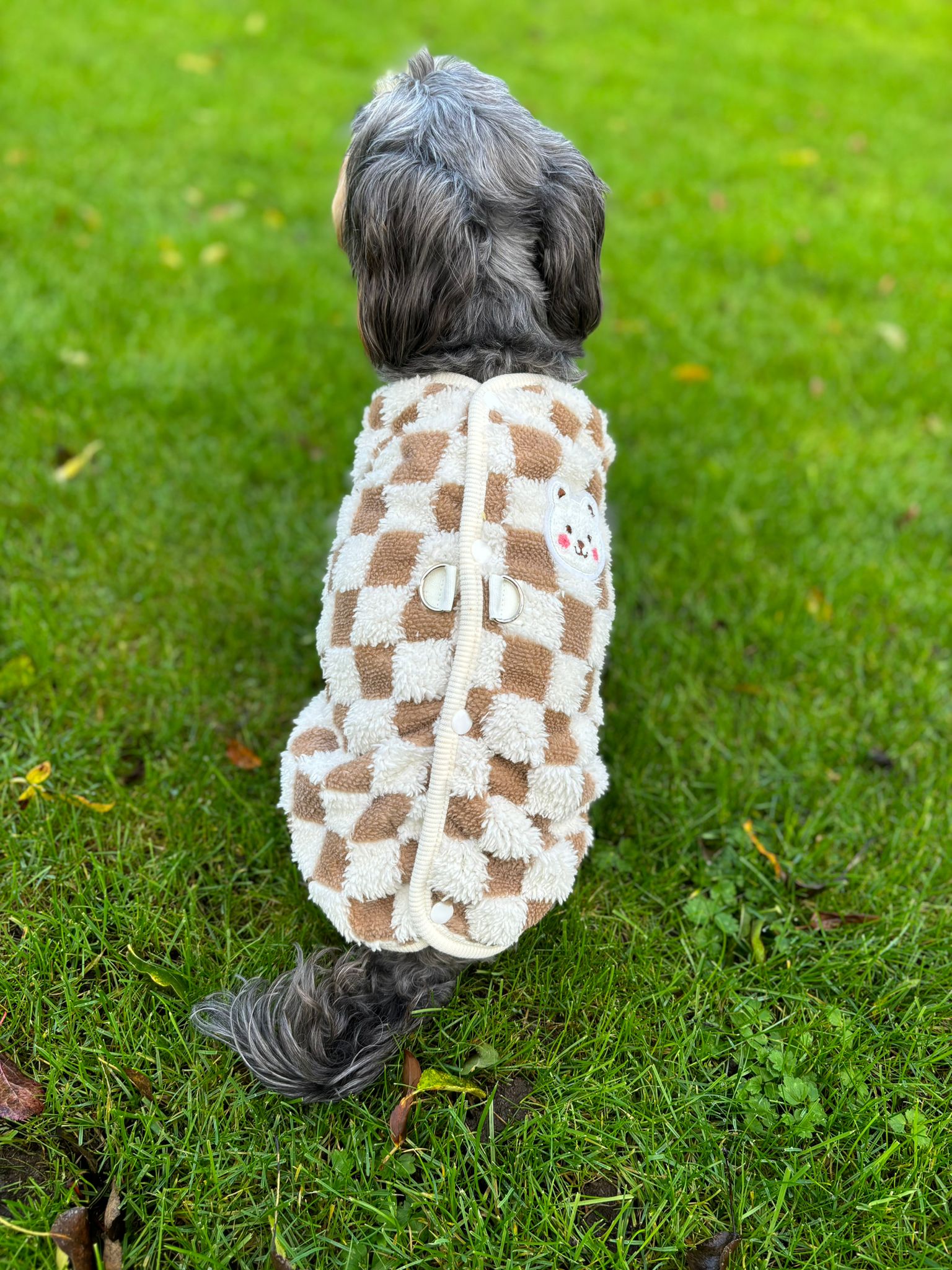 Winter Chequered Dog Vest