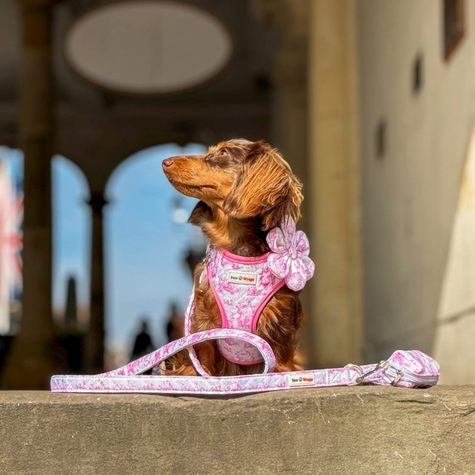 Paw Wraps Dog Lead Pink and White Toile de Jouy Dog Lead