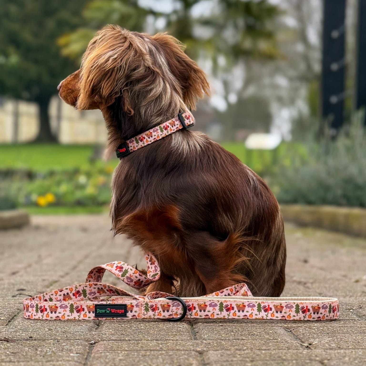 Paw Wraps Collar Whimsical Farm Dog Collar