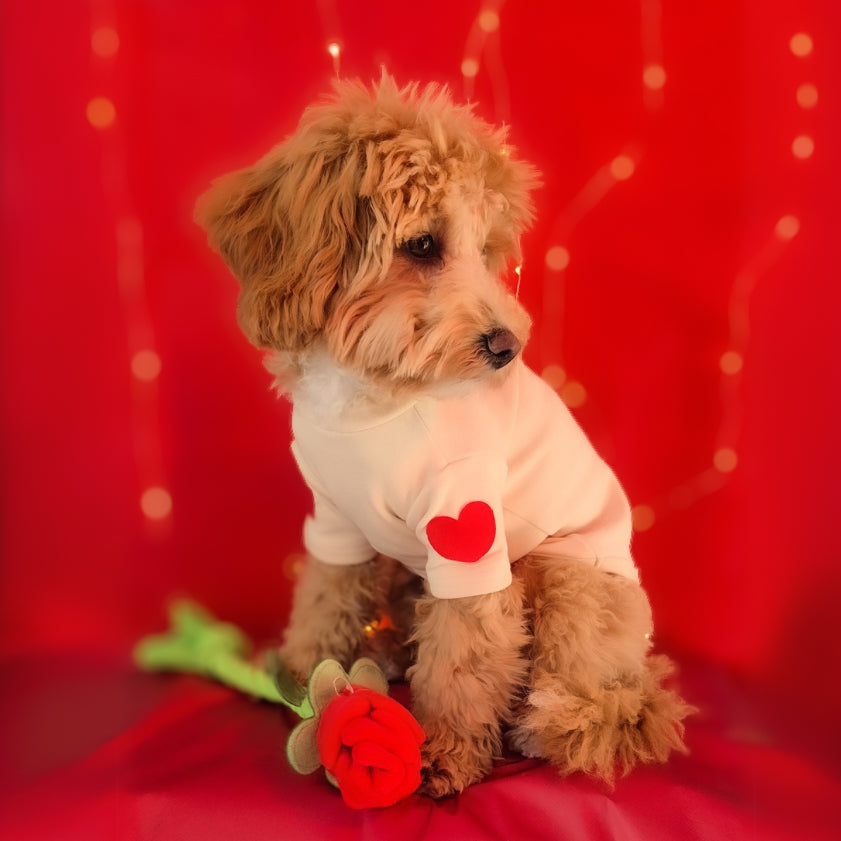 Love Heart Dog Sweater