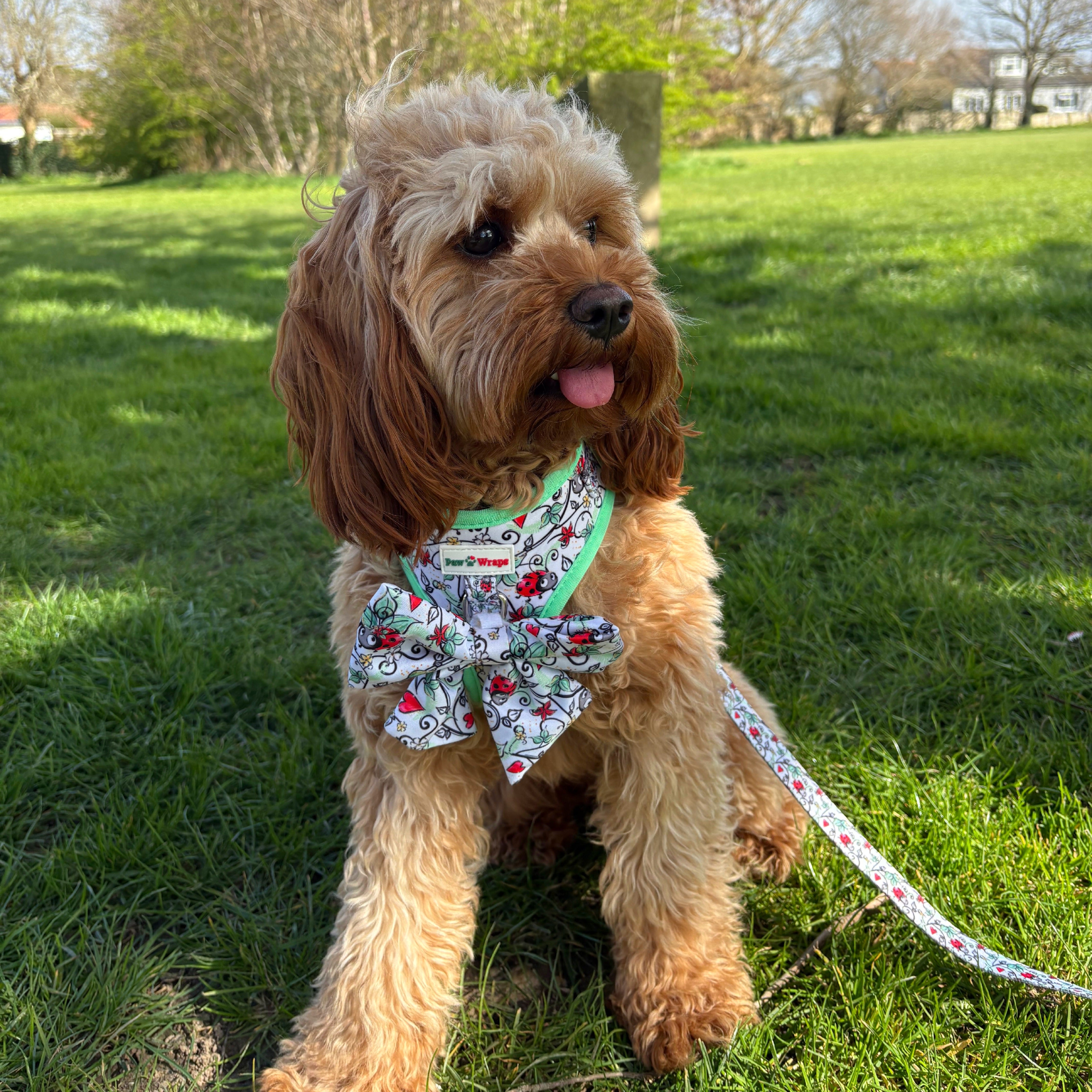 Paw Wraps Dog Harness No-Pull Adjustable Neoprene Dog Harness – Ladybird Hearts